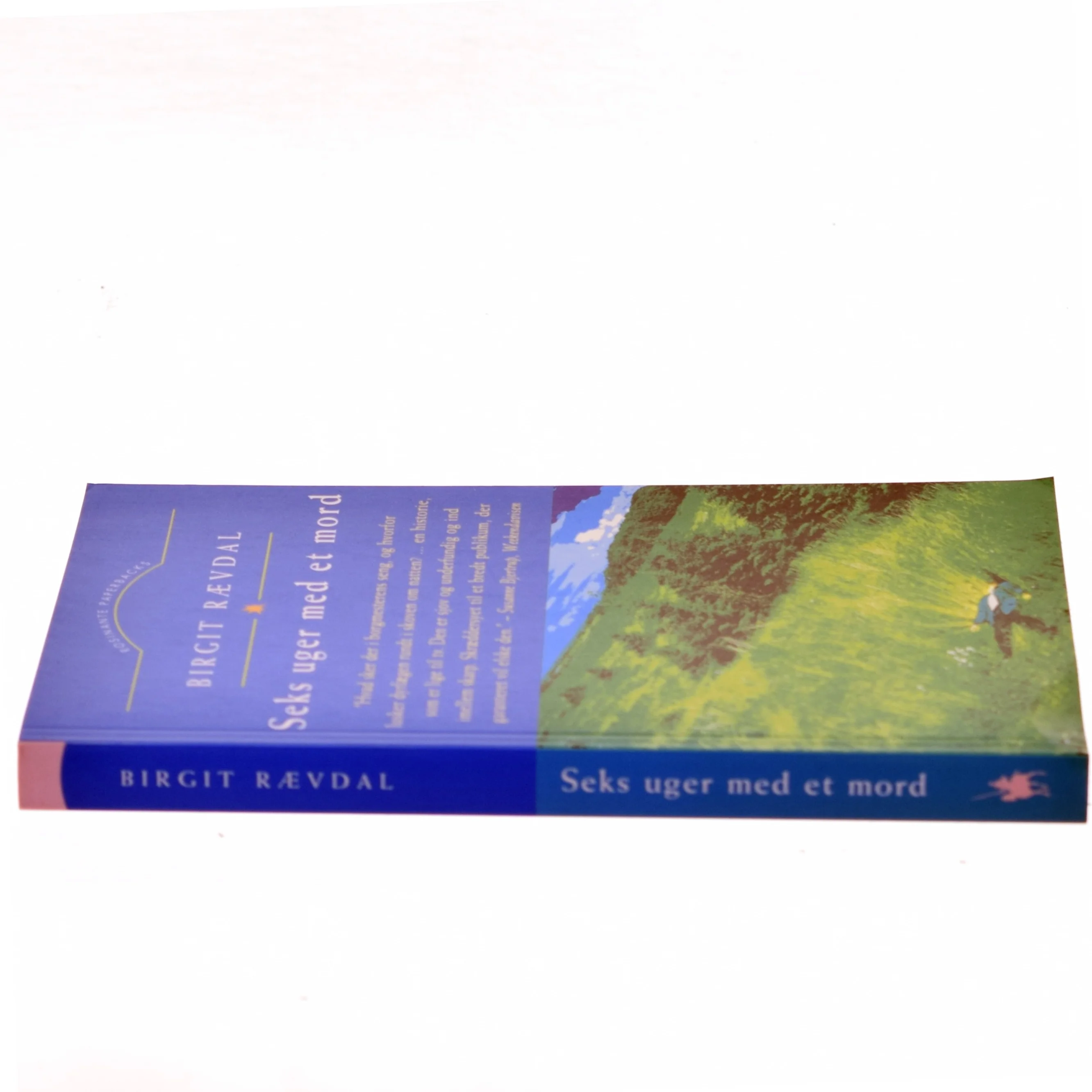 Seks uger med et mord af Birgit Rævdal (Bog)