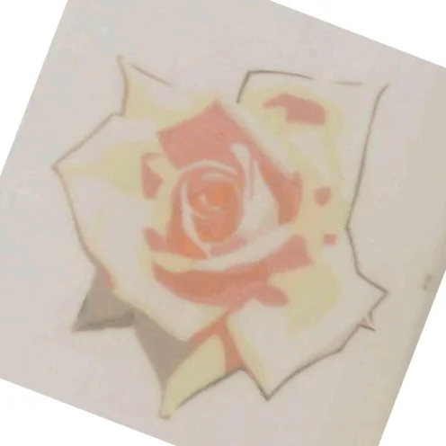 Du ser træt ud, skal jeg holde dine bryster? af Maise Njor (Bog)