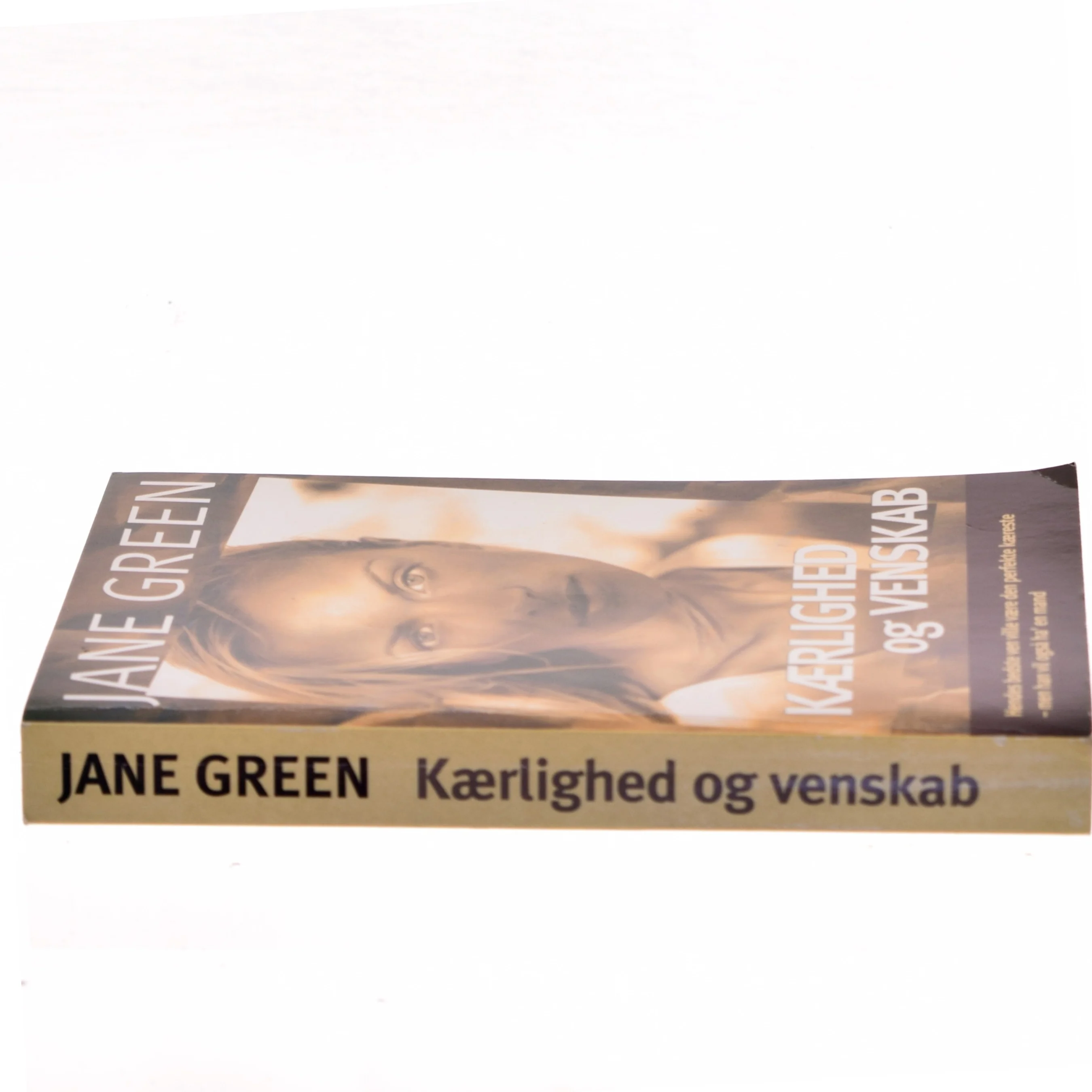 Kærlighed og venskab af Jane Green (Bog)