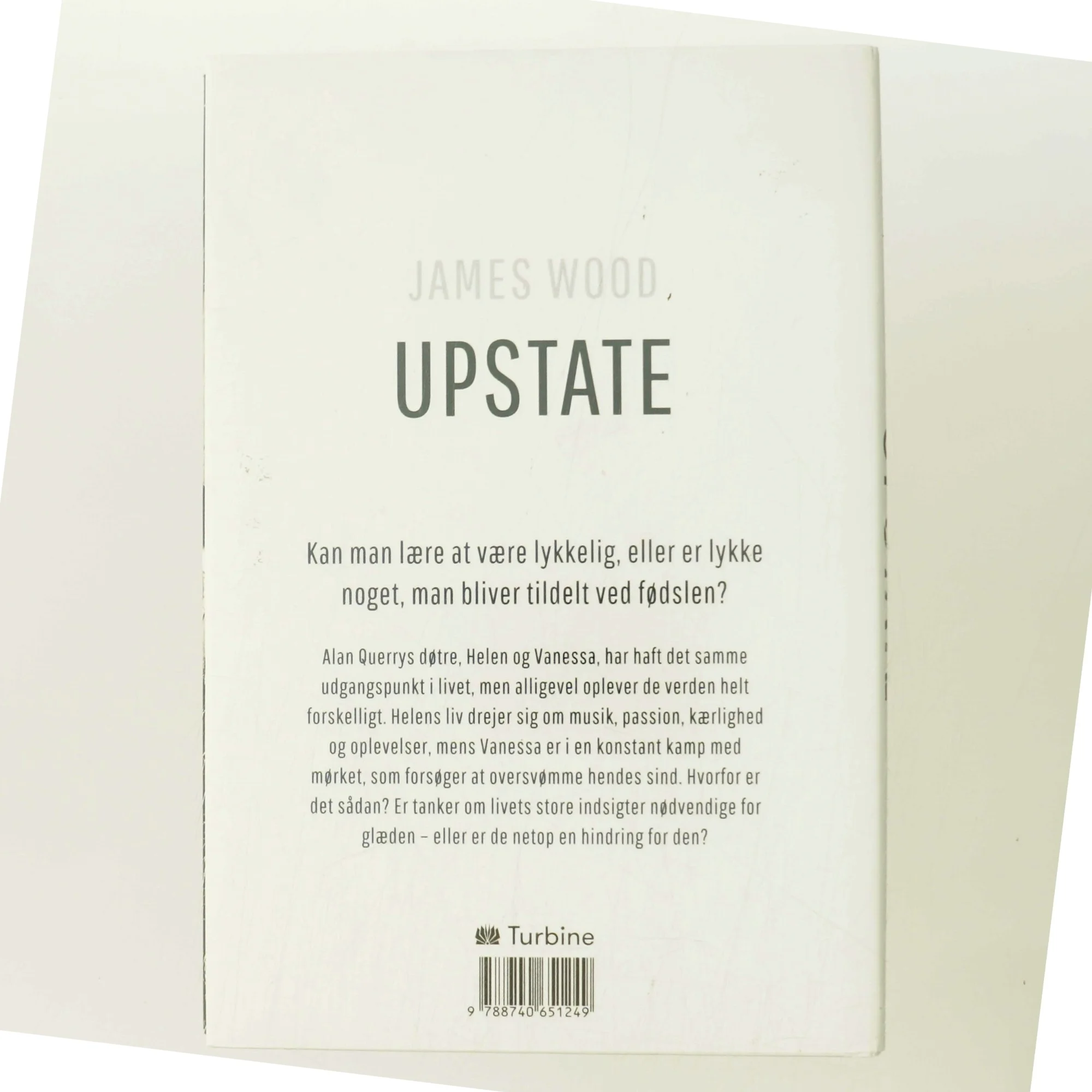 Upstate af James Wood (Bog)