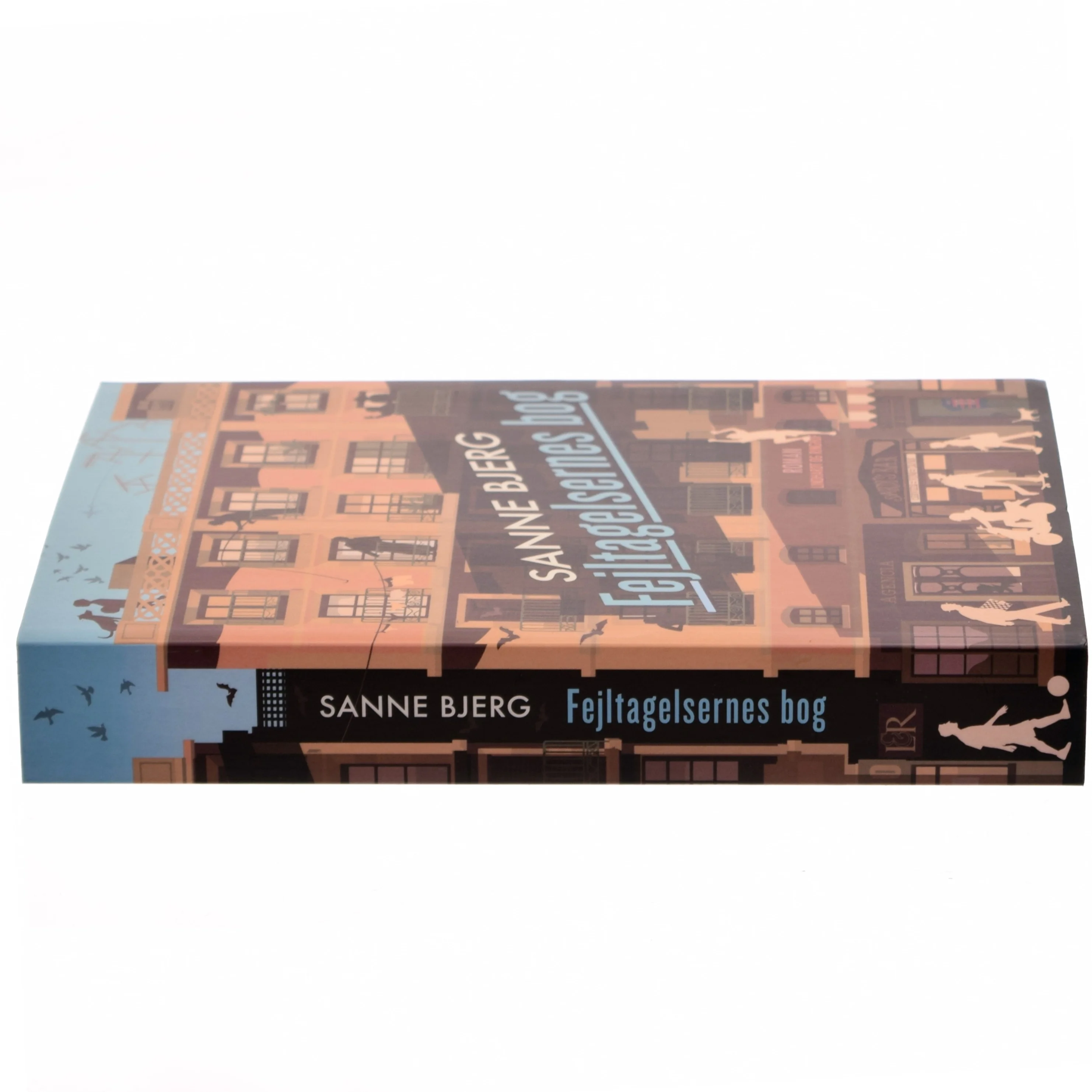 Fejltagelsernes bog af Sanne Bjerg (f. 1965) (Bog)