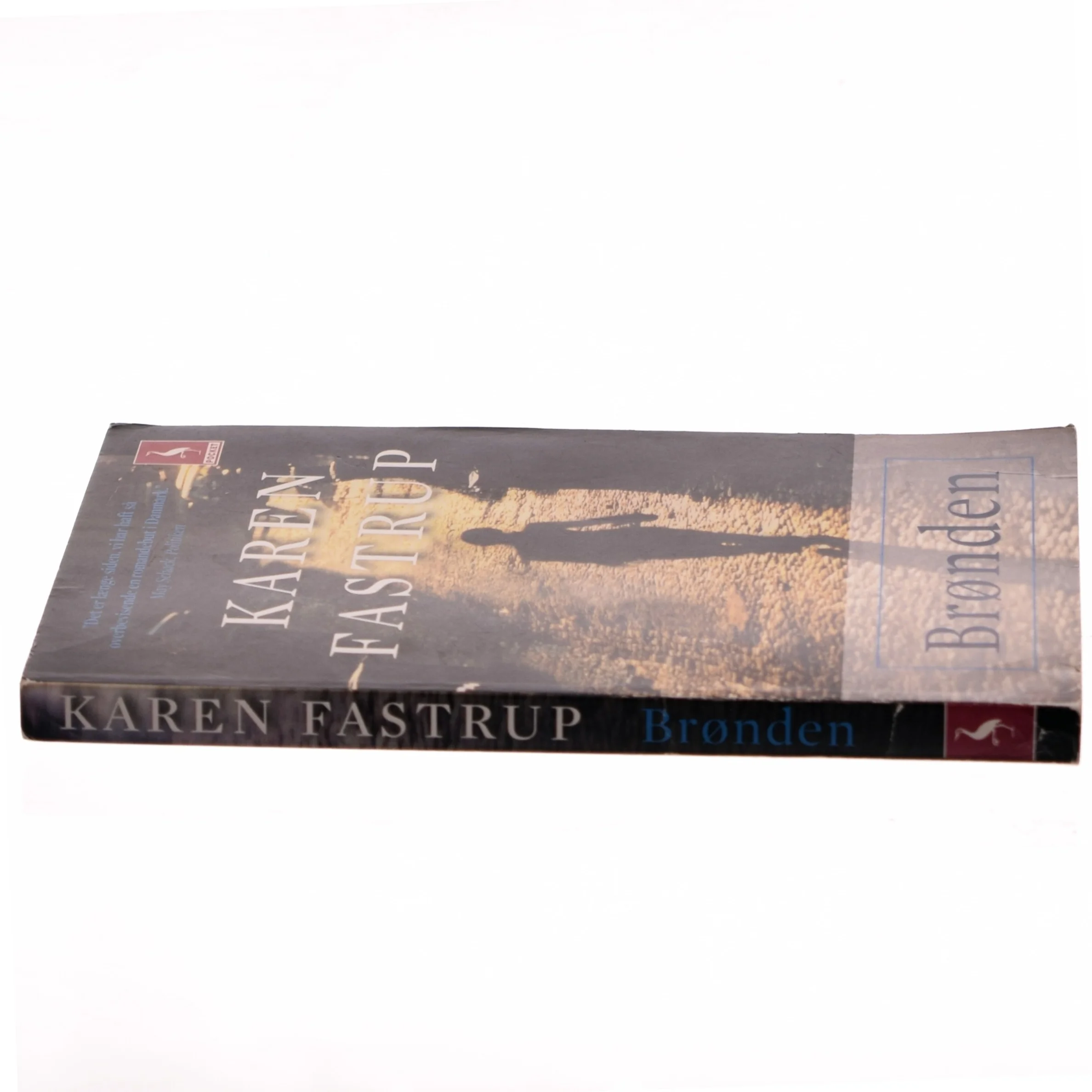 Brønden : roman af Karen Fastrup (Bog)