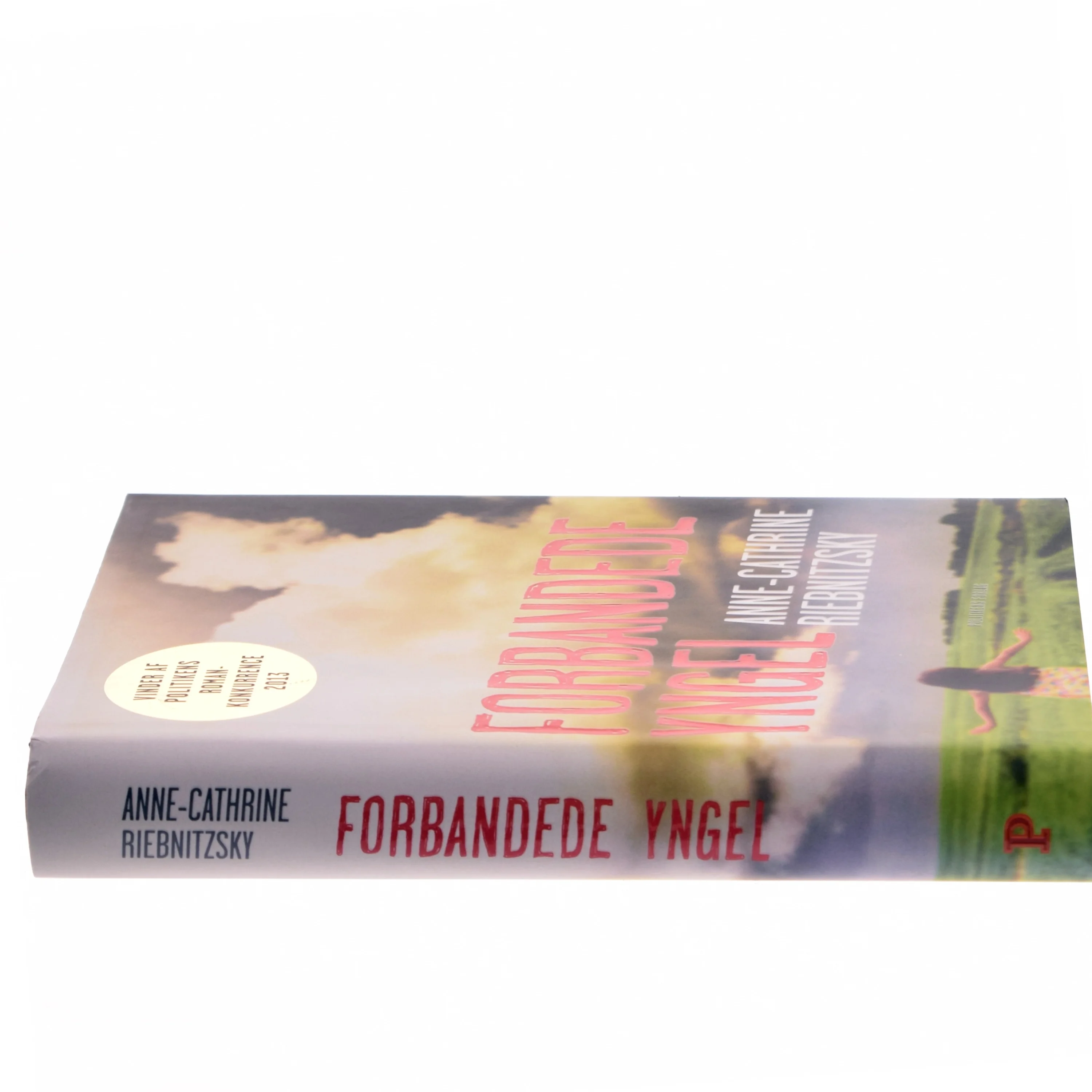 Forbandede yngel (Klassesæt) af Anne-Cathrine Riebnitzsky (Bog)