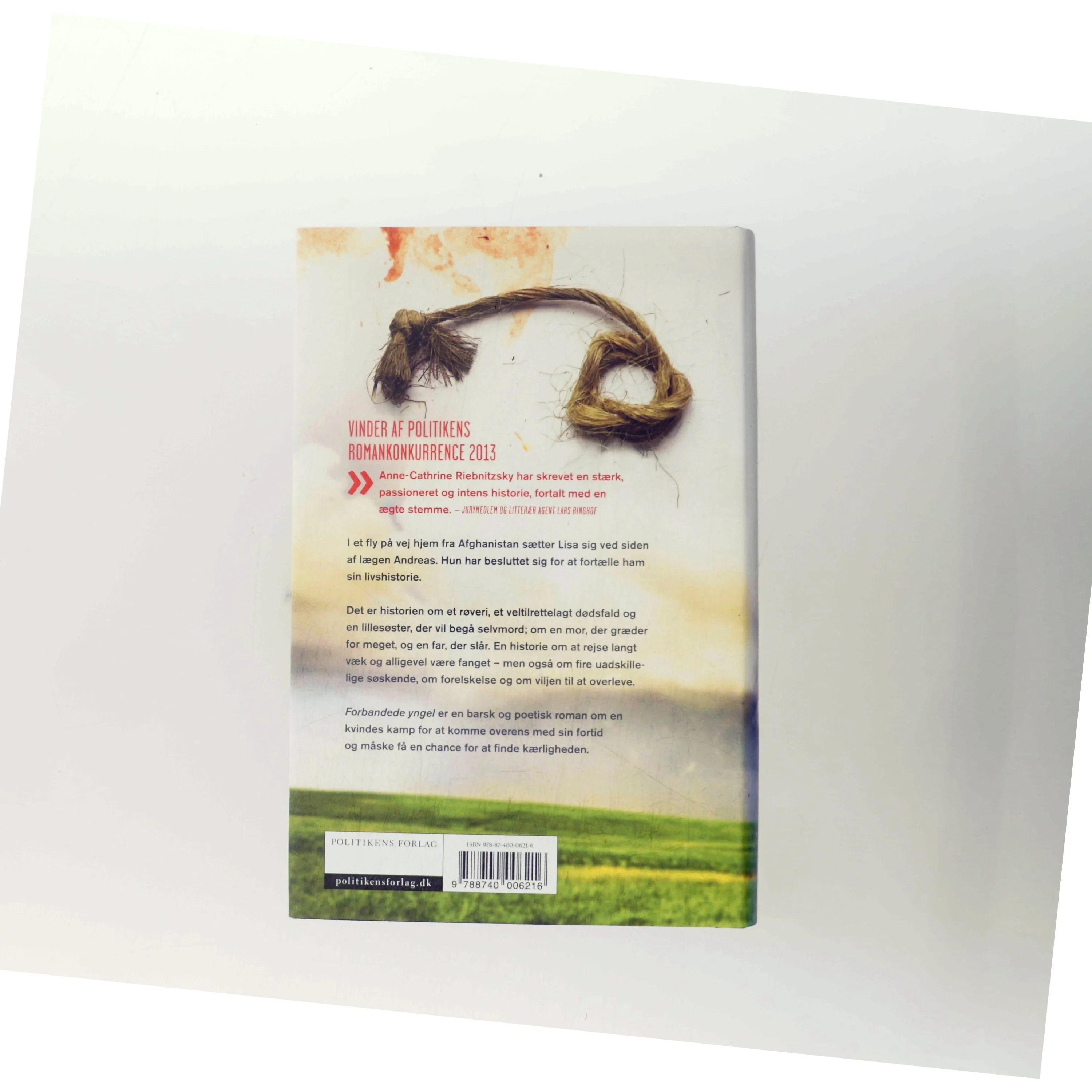 Forbandede yngel (Klassesæt) af Anne-Cathrine Riebnitzsky (Bog)