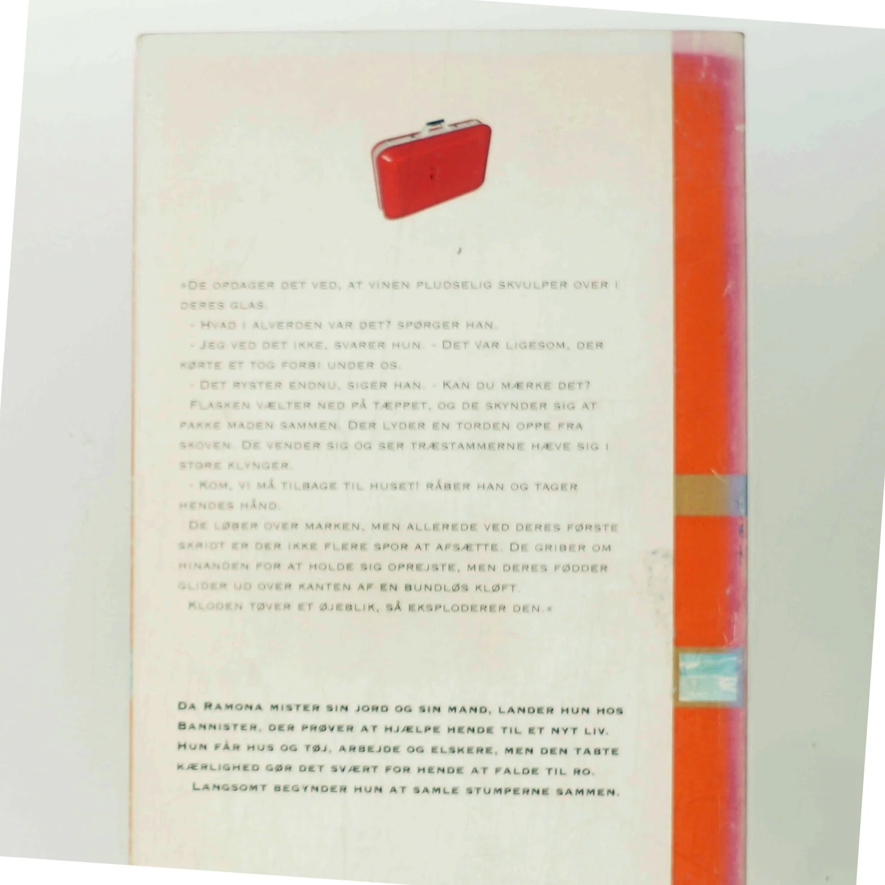 Bannister af Kirsten Hammann (Bog)