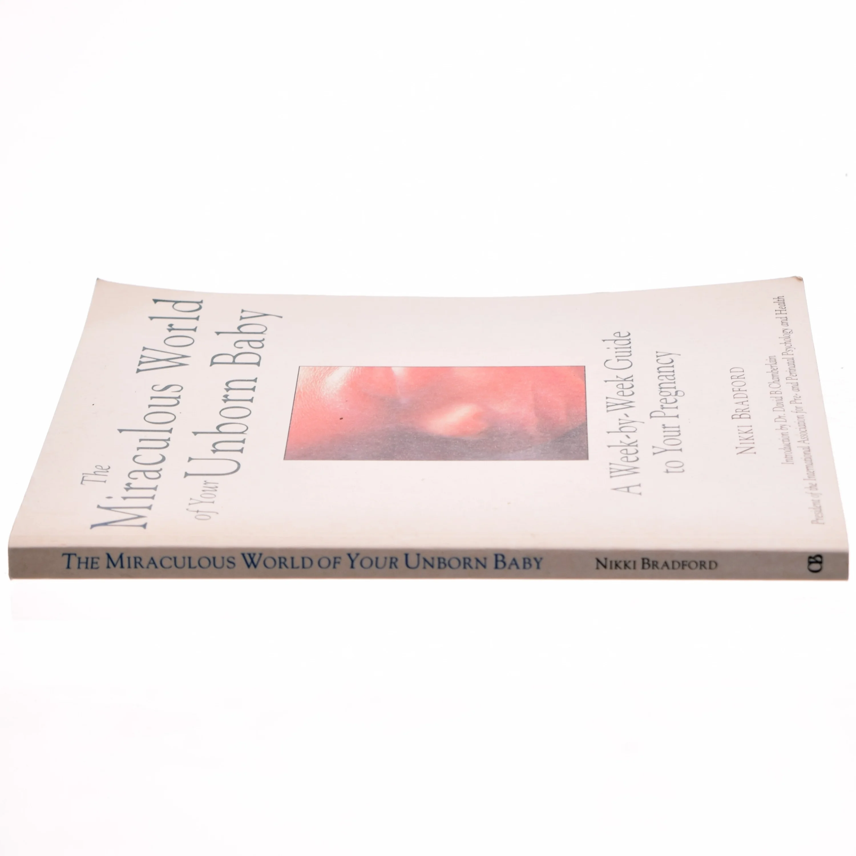 The Miraculous World of Your Unborn Baby af Nikki Bradford (Bog)