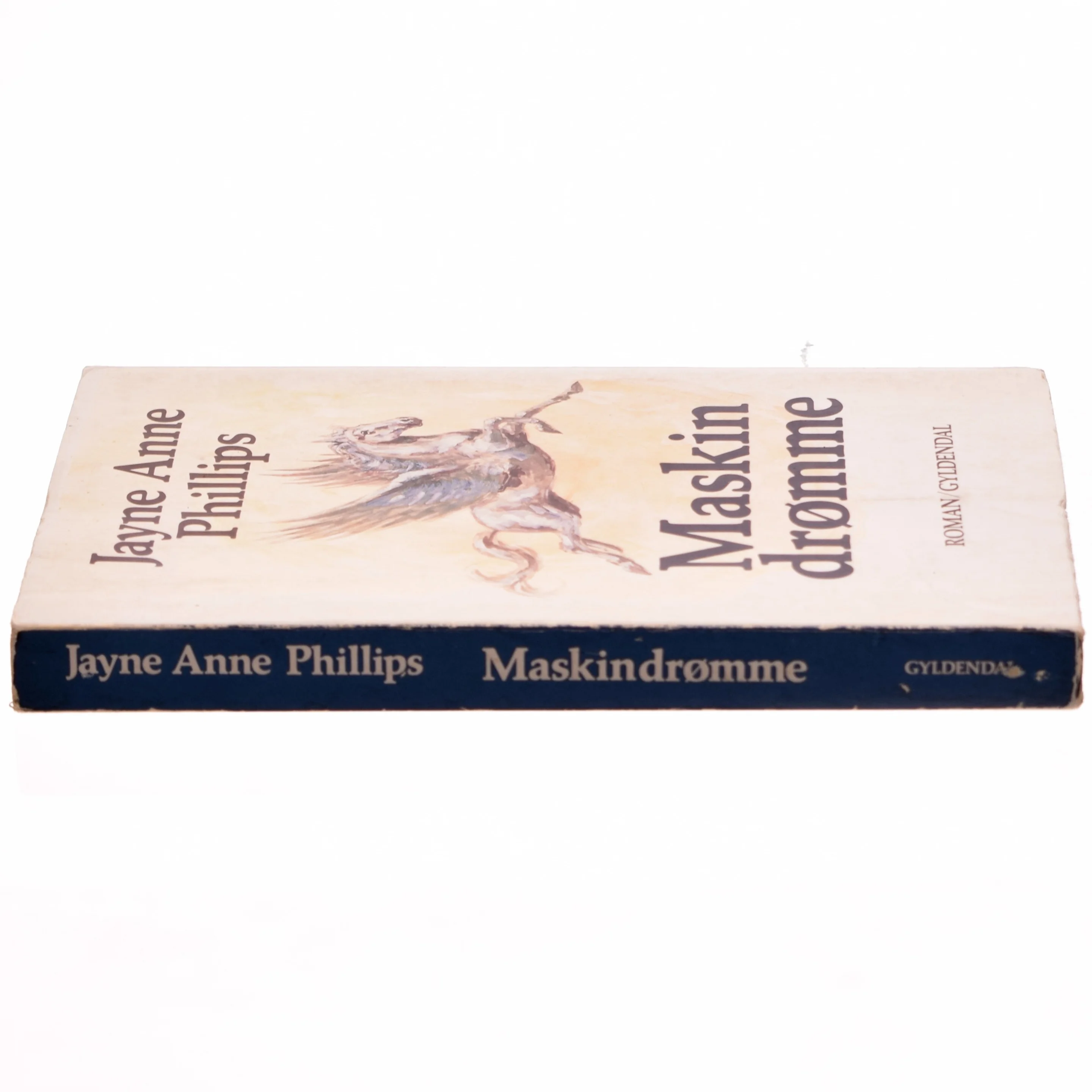 Maskin drømme af Jayne Anne Phillips