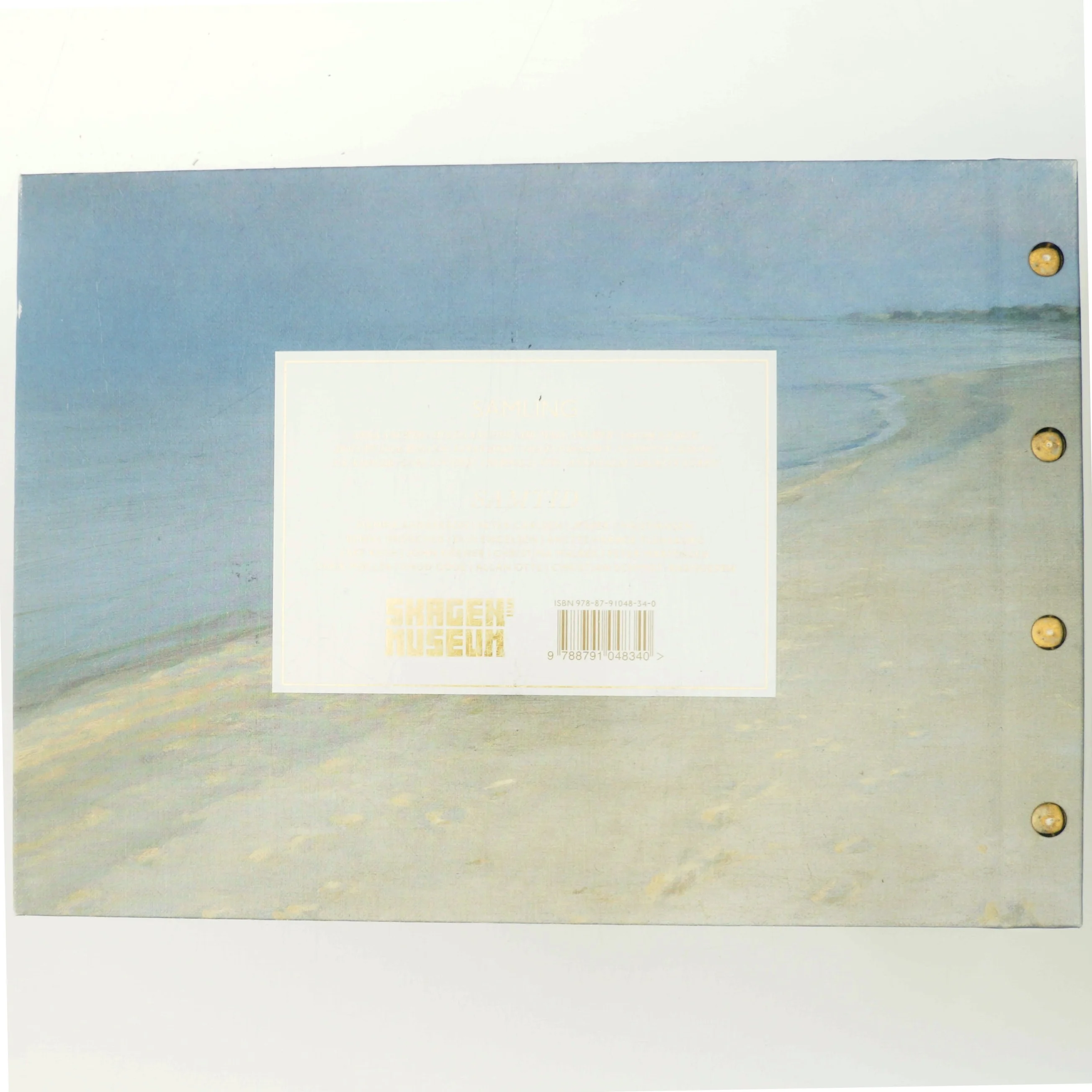 Samling & samtid : Skagensmalernes forunderlige møde med 14 samtidskunstnere af <Bogens forfattere> (Bog)