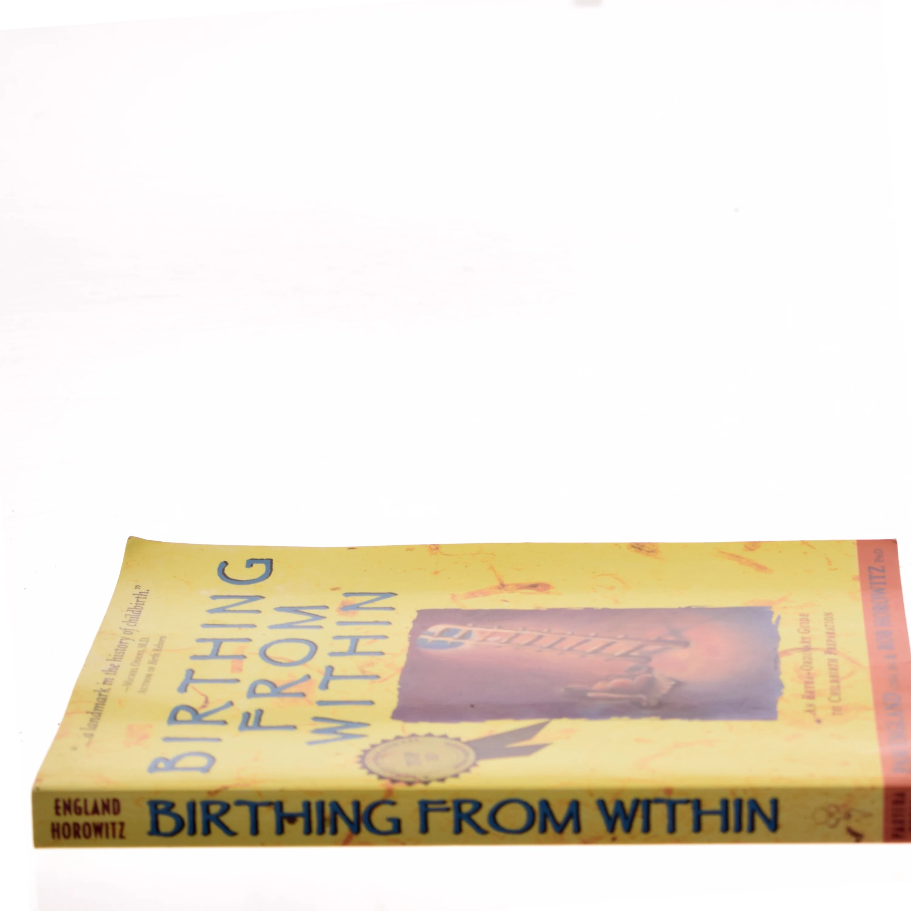 Birthing from within : an extra-ordinary guide to childbirth preparation (Bog)