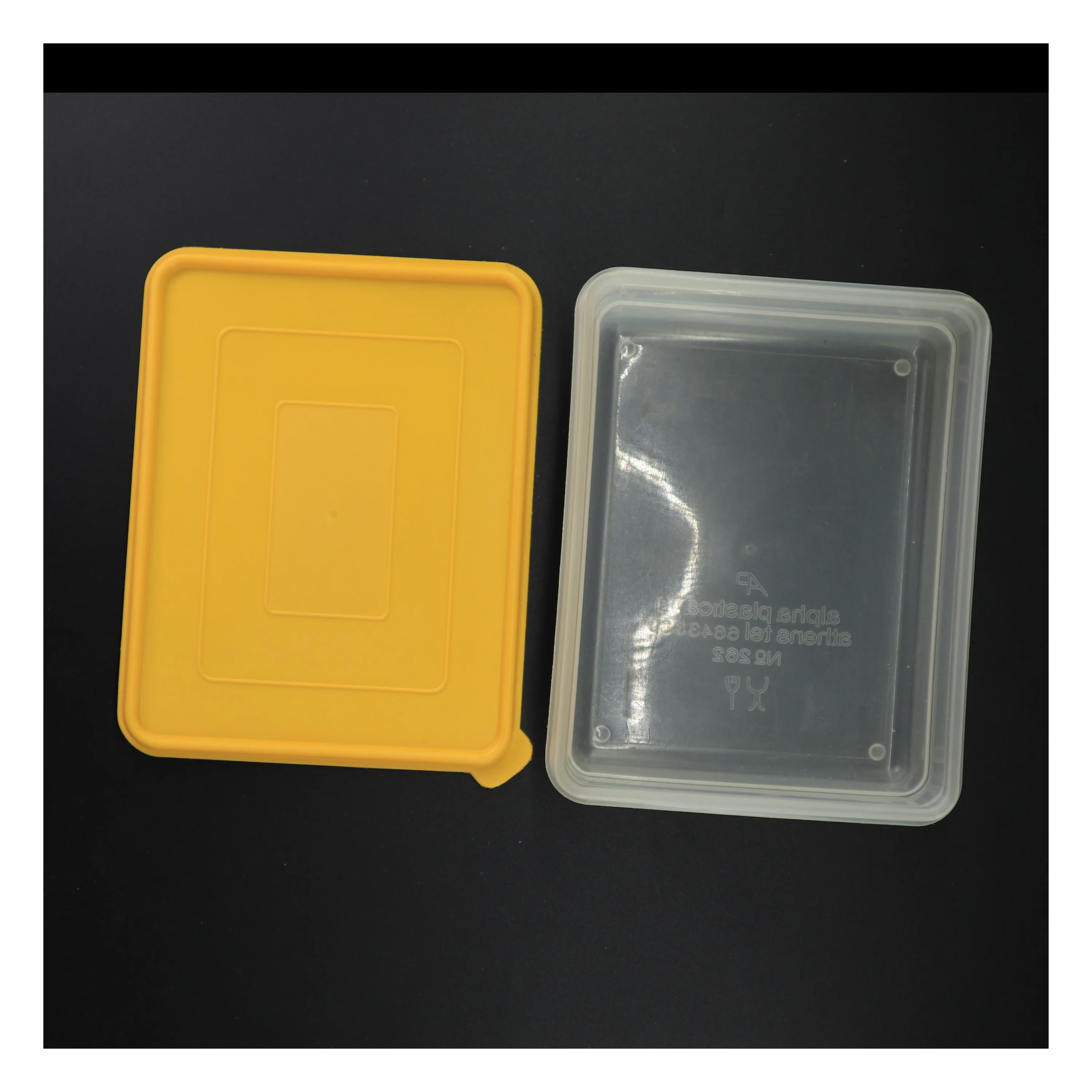 Plastbeholder med låg (str. 23 x 18 x 8 cm)