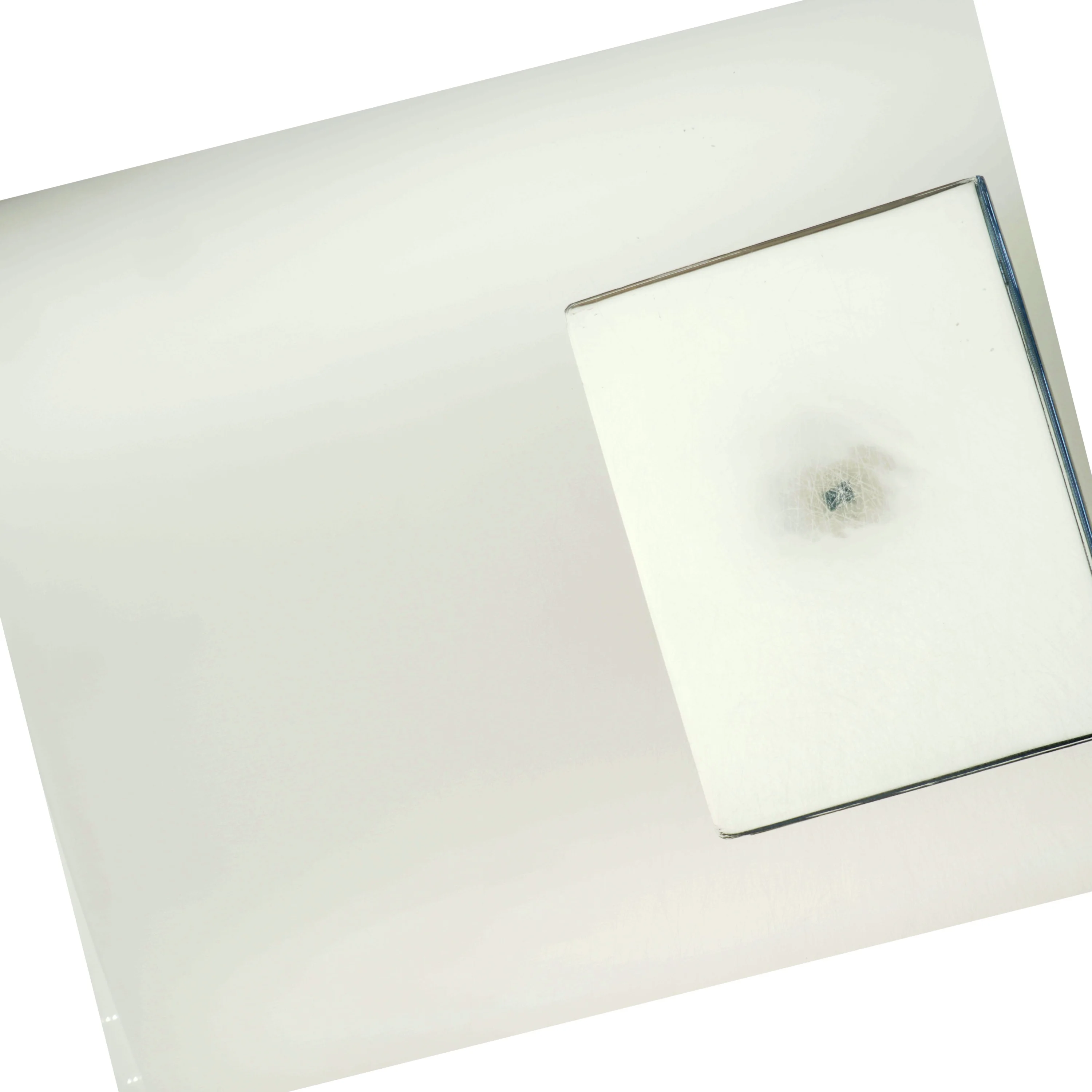 Illustreret Videnskab 