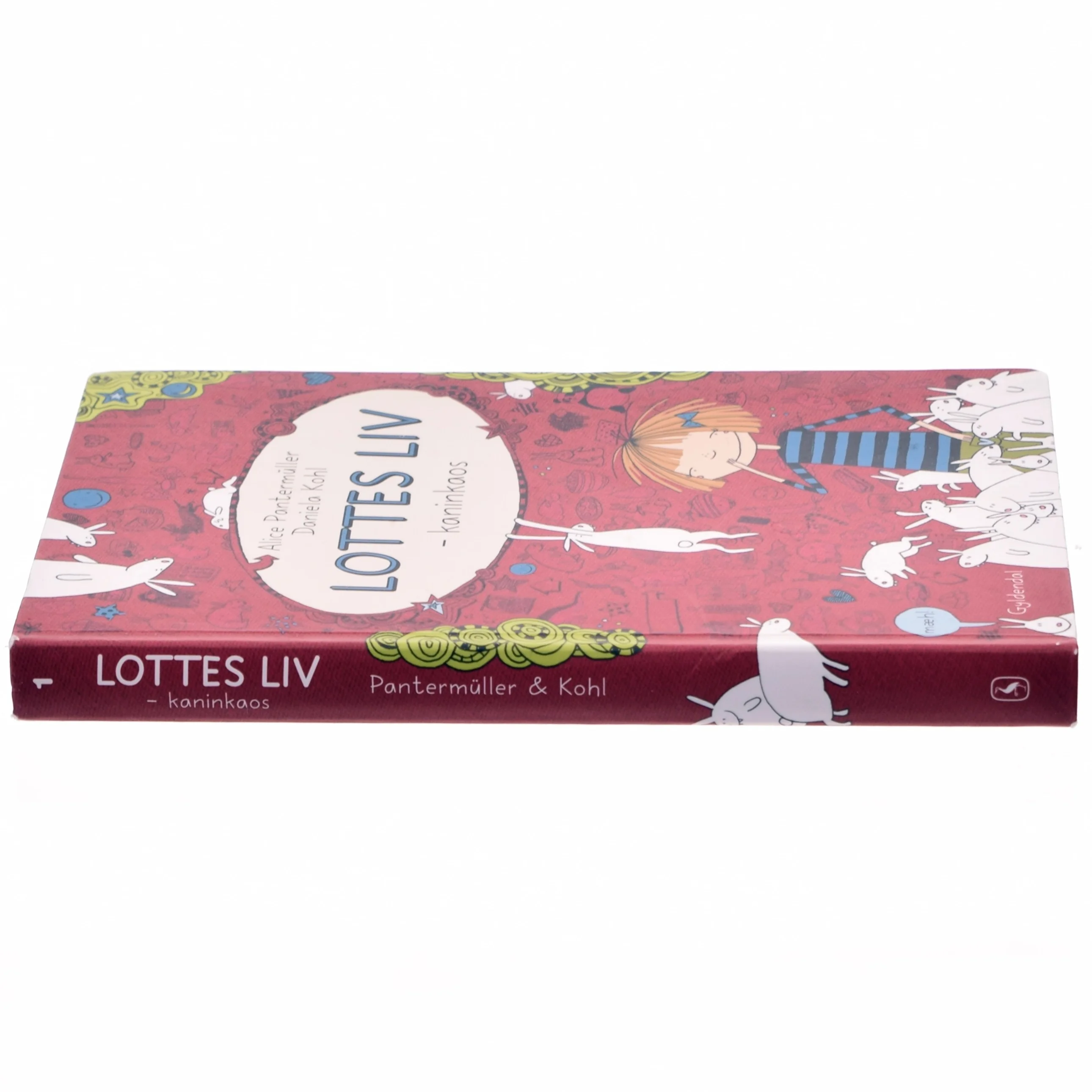 Lottes liv - kaninkaos af Alice Pantermüller (Bog)