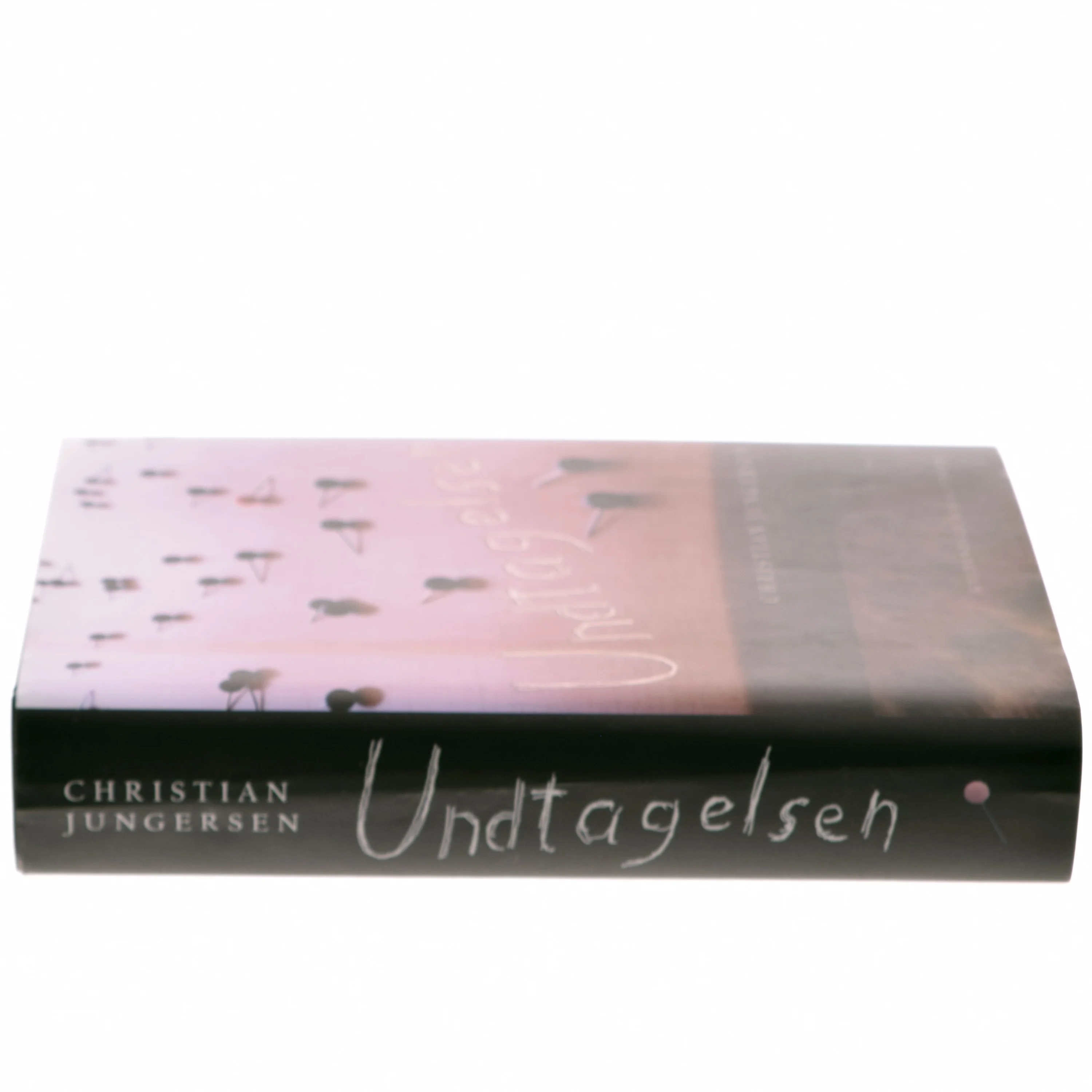 Undtagelsen : roman af Christian Jungersen (Bog)