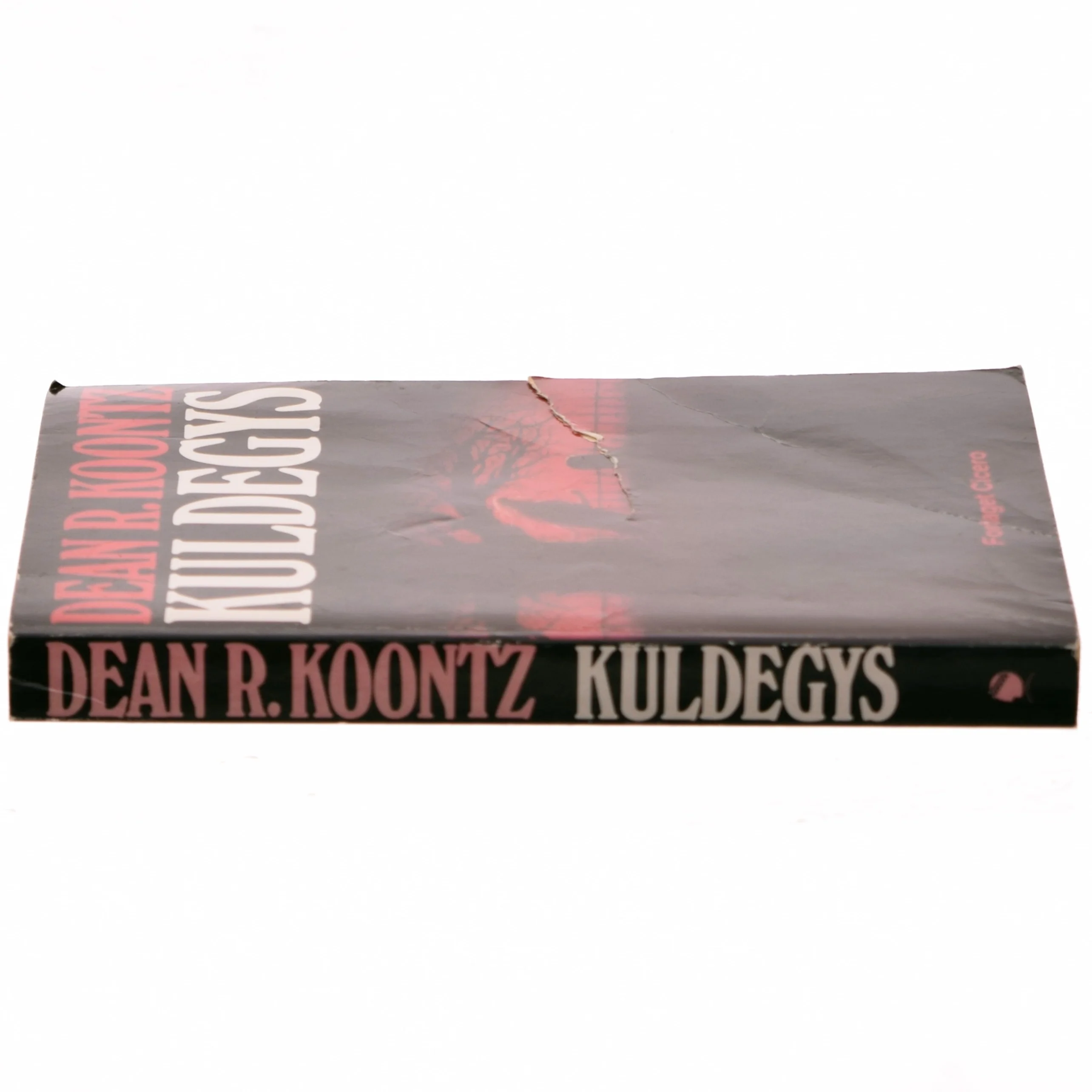 Kuldegys af Dean R. Koontz (Bog)