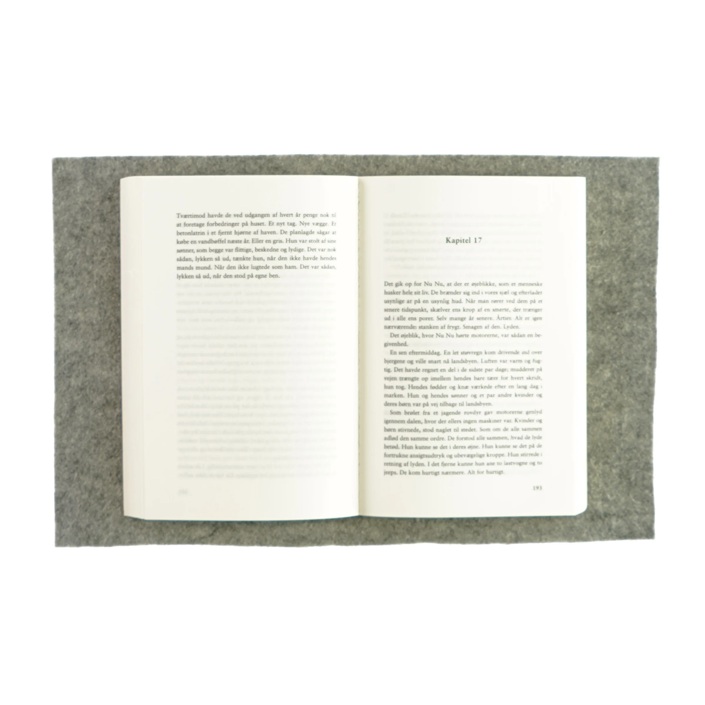 Hjertets stemme af Jan-Philipp Snedker (bog)