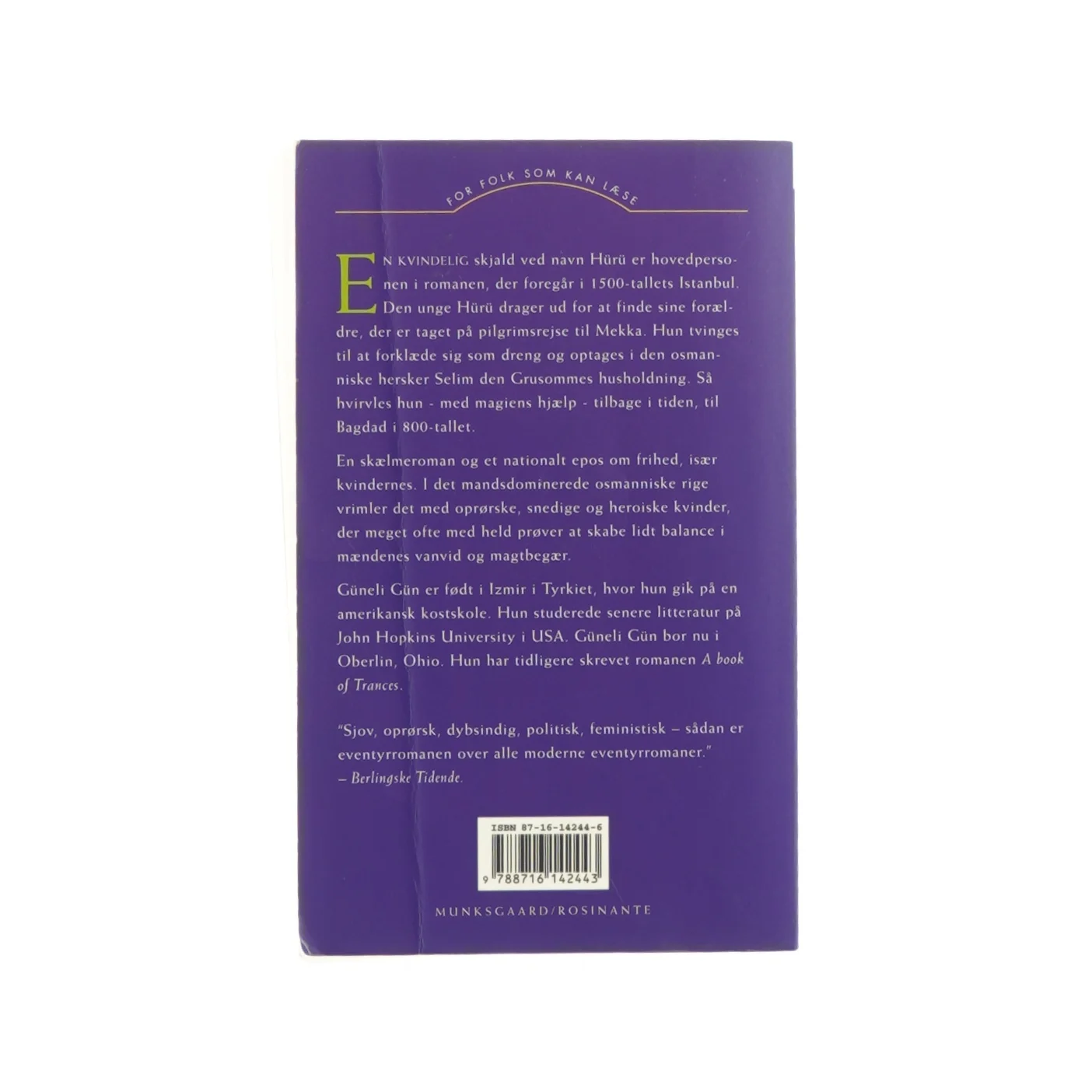 Vejen til Bagdad af Güneli Gün (bog)