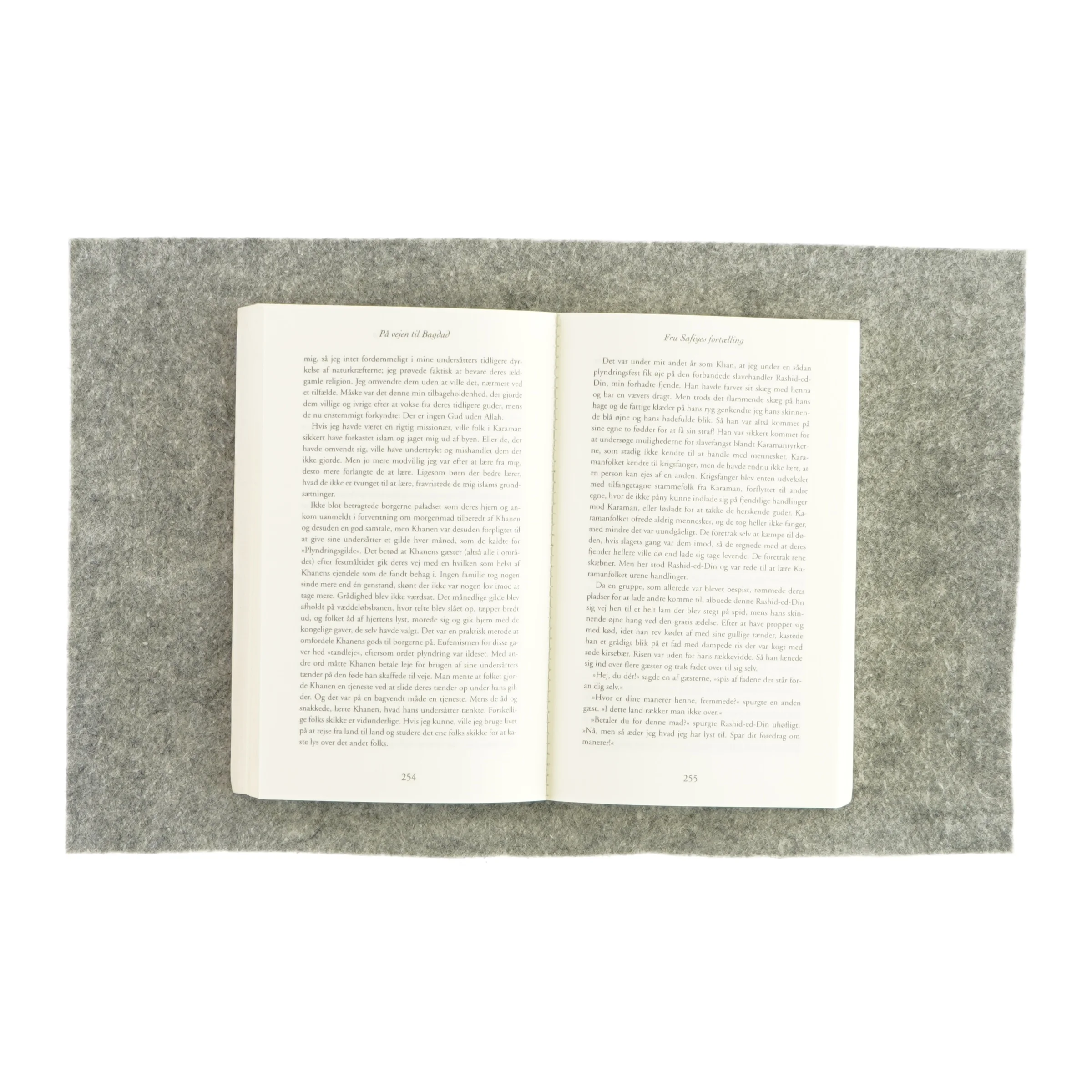 Vejen til Bagdad af Güneli Gün (bog)