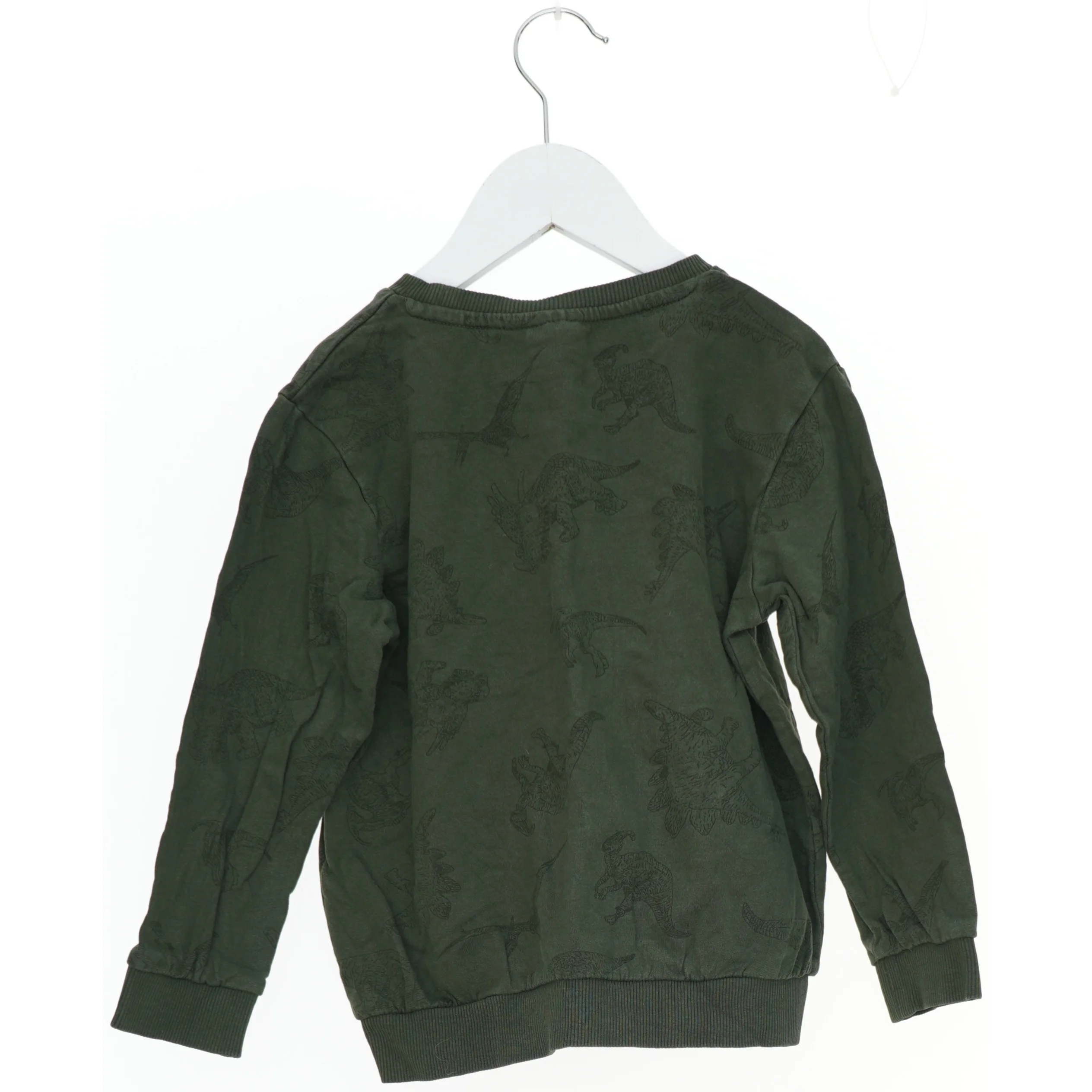 Grøn sweatshirt med dinosaurmønster fra Basic needs (str. 110)