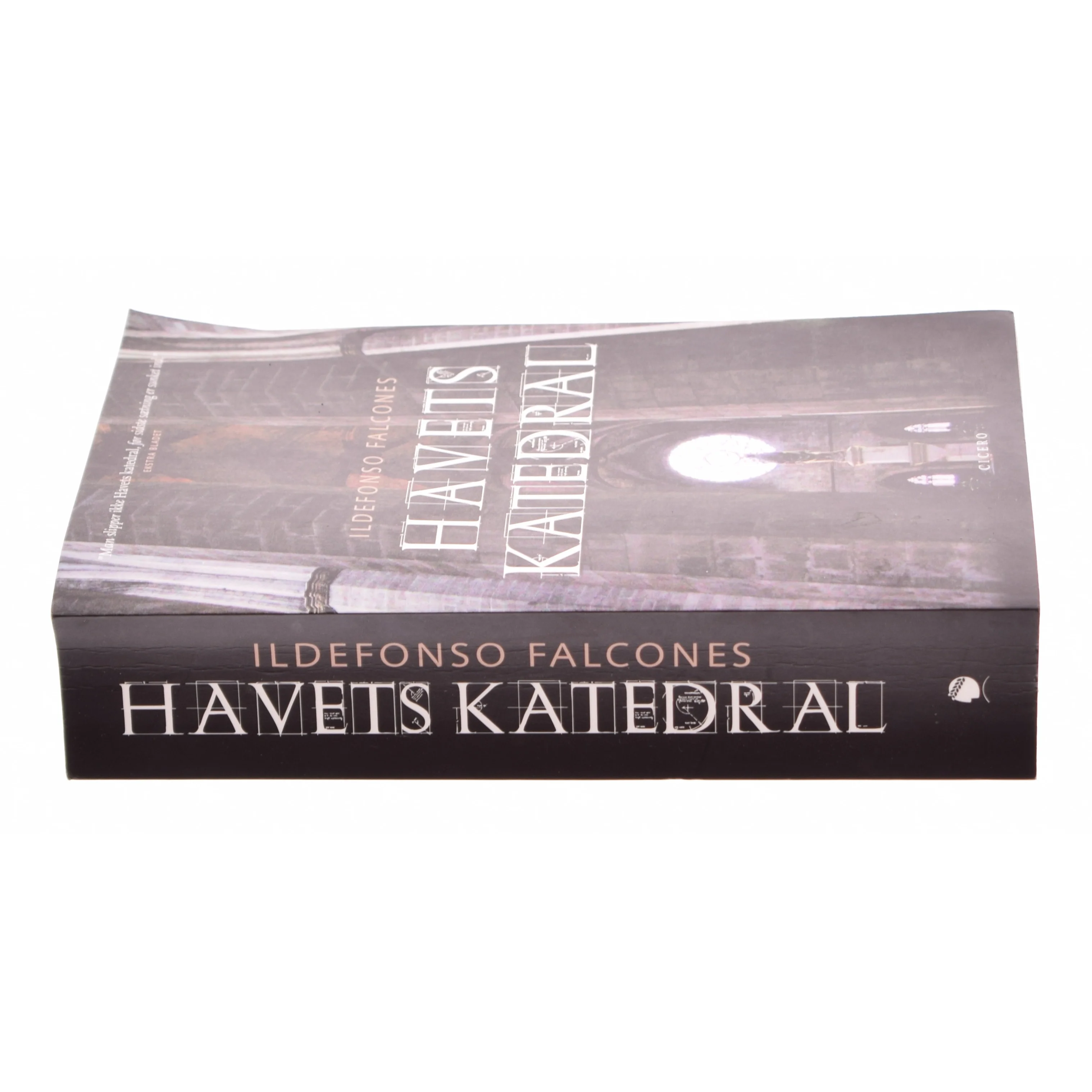 Havets katedral af Ildefonso Falcones (Bog)