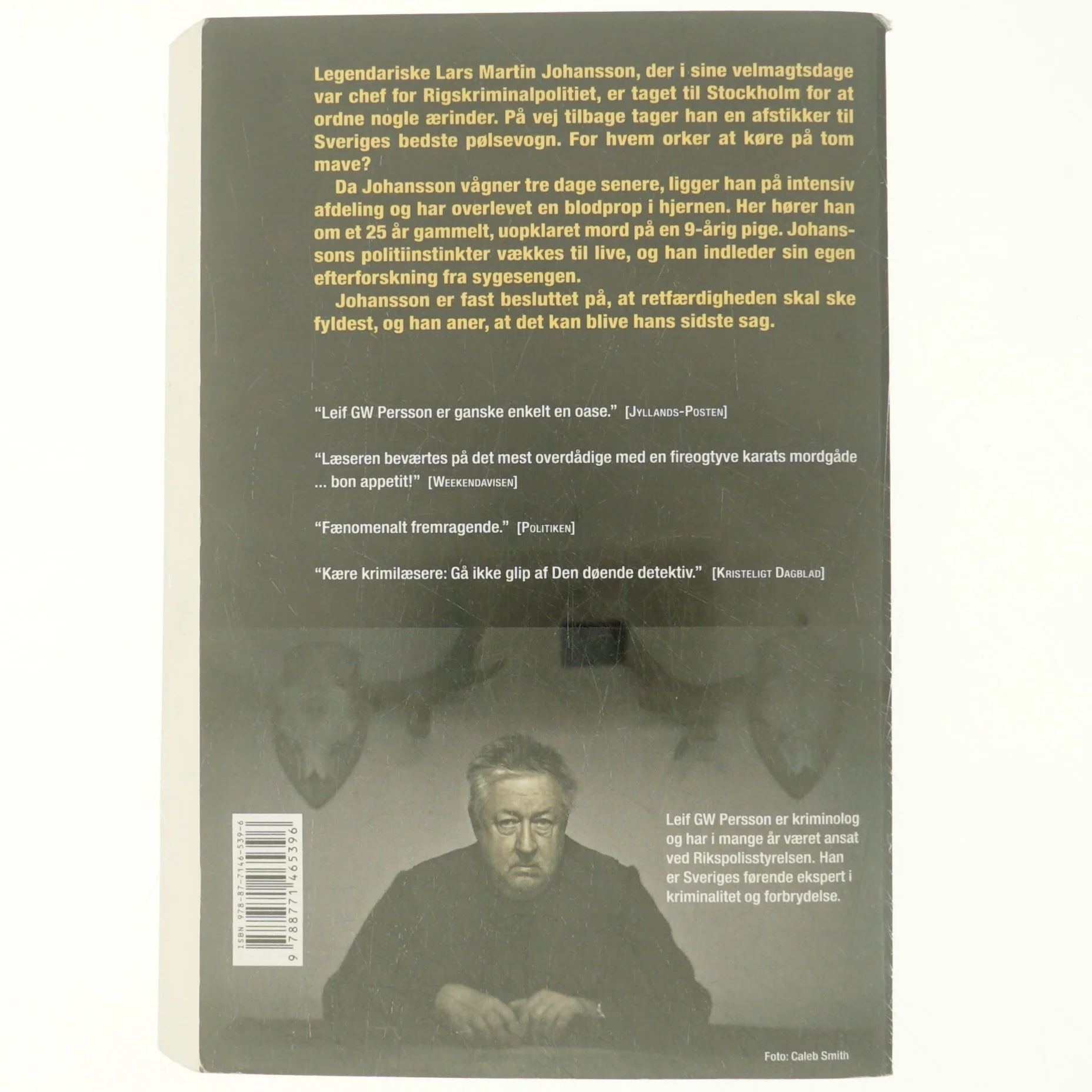 Den døende detektiv : en roman om en forbrydelse af Leif G. W. Persson (Bog)