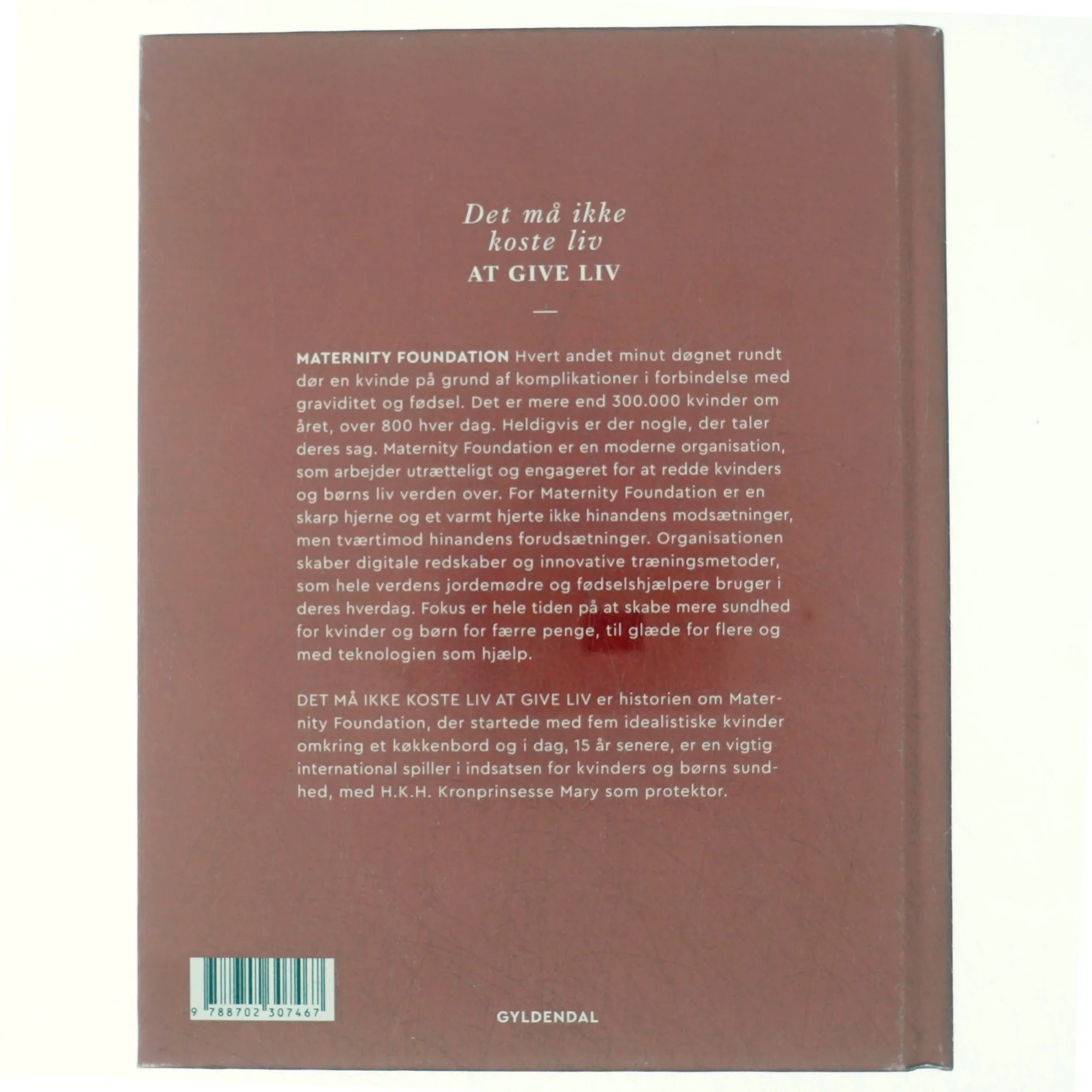 Det må ikke koste liv at give liv : Maternity Foundation - fra lille dansk NGO til global digital frontløber i kamp for kvinders sundhed af Kirsten Weiss (Bog)