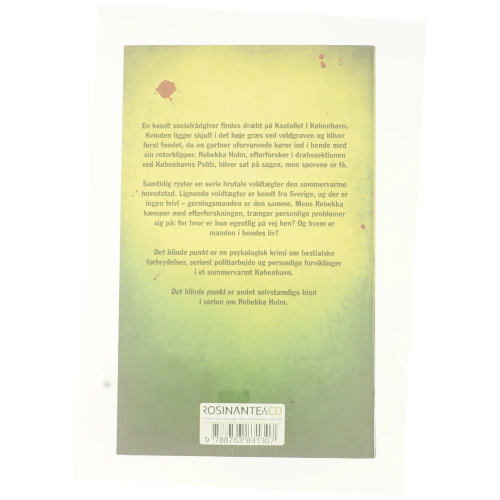 Det Blinde Punkt af Julie Hastrup (Bog)