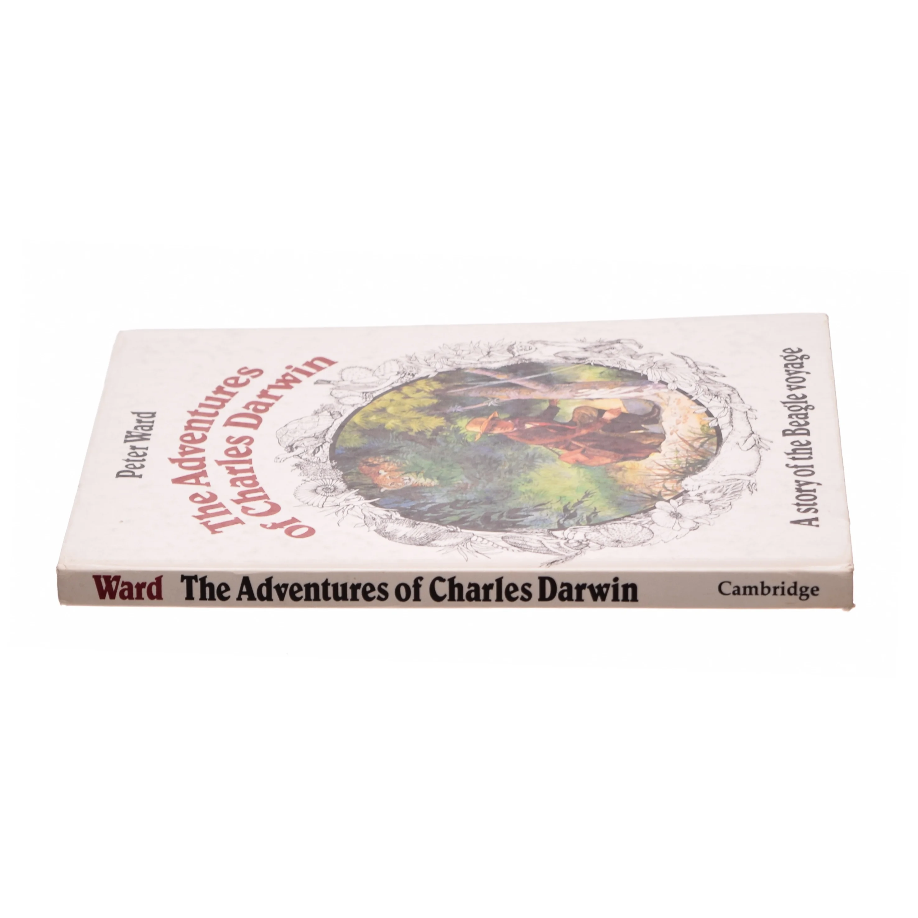 The Adventures of Charles Darwin af Peter Ward (Bog)