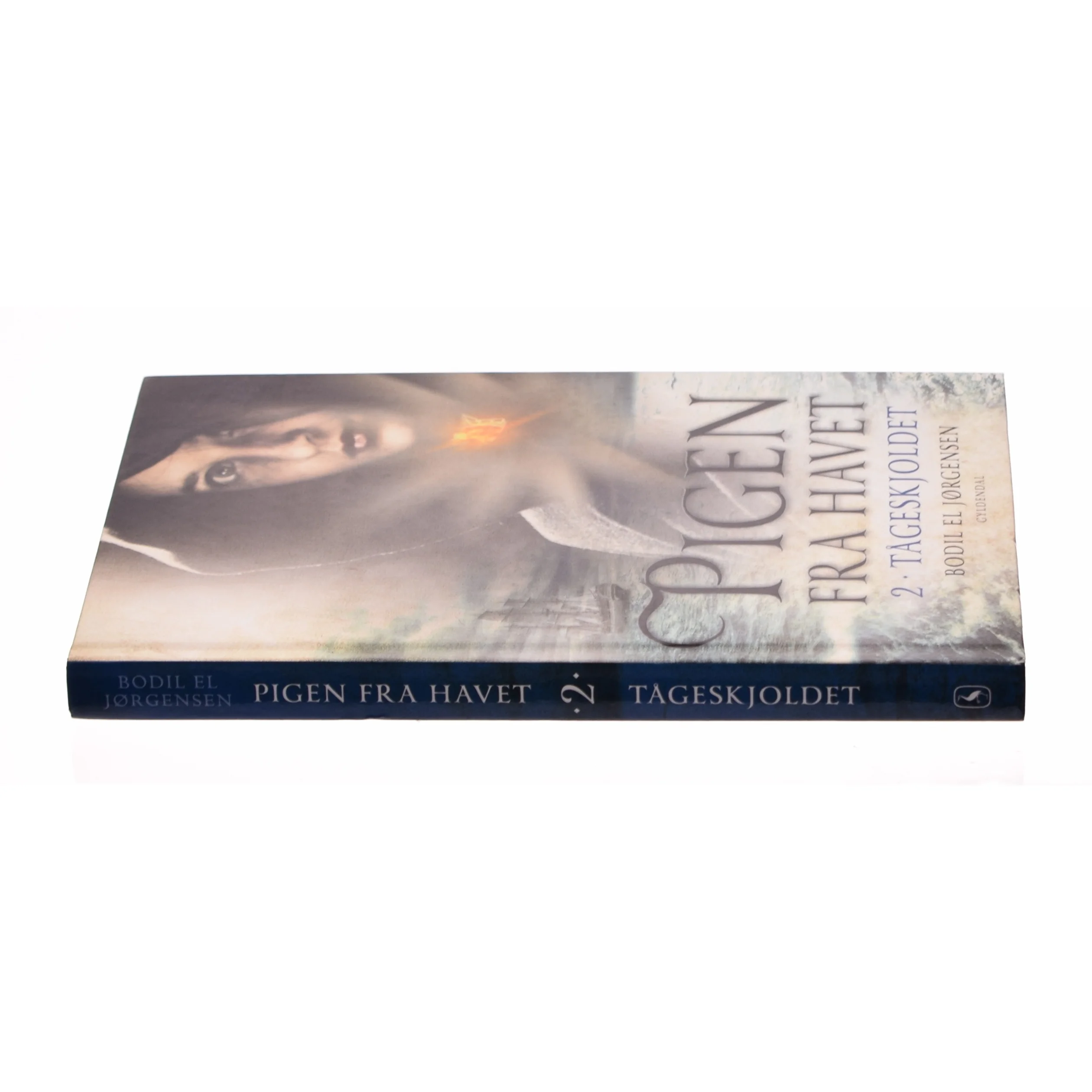 Tågeskjoldet af Bodil El Jørgensen (Bog)