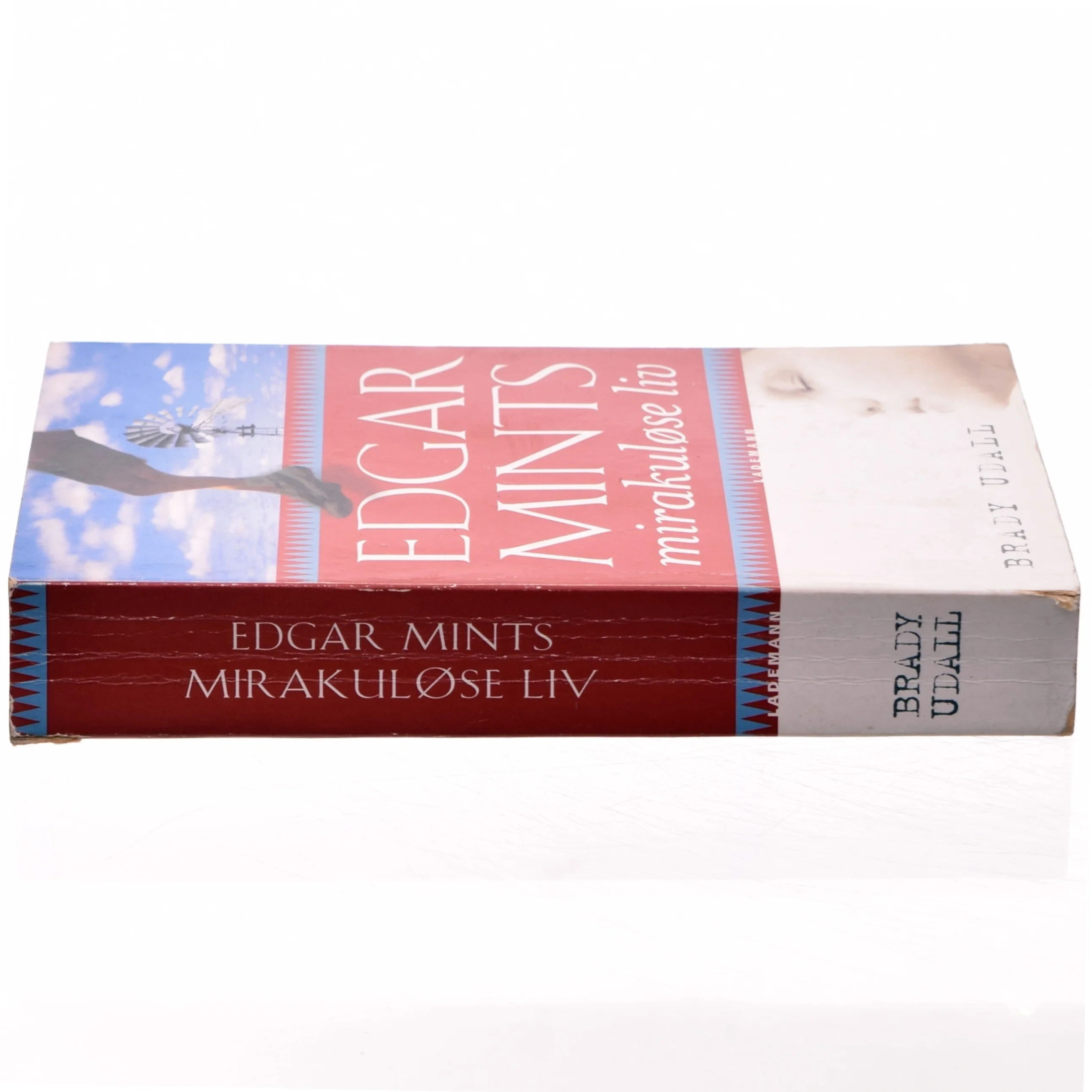 Edgar Mints mirakuløse liv af Brady Udall (Bog)