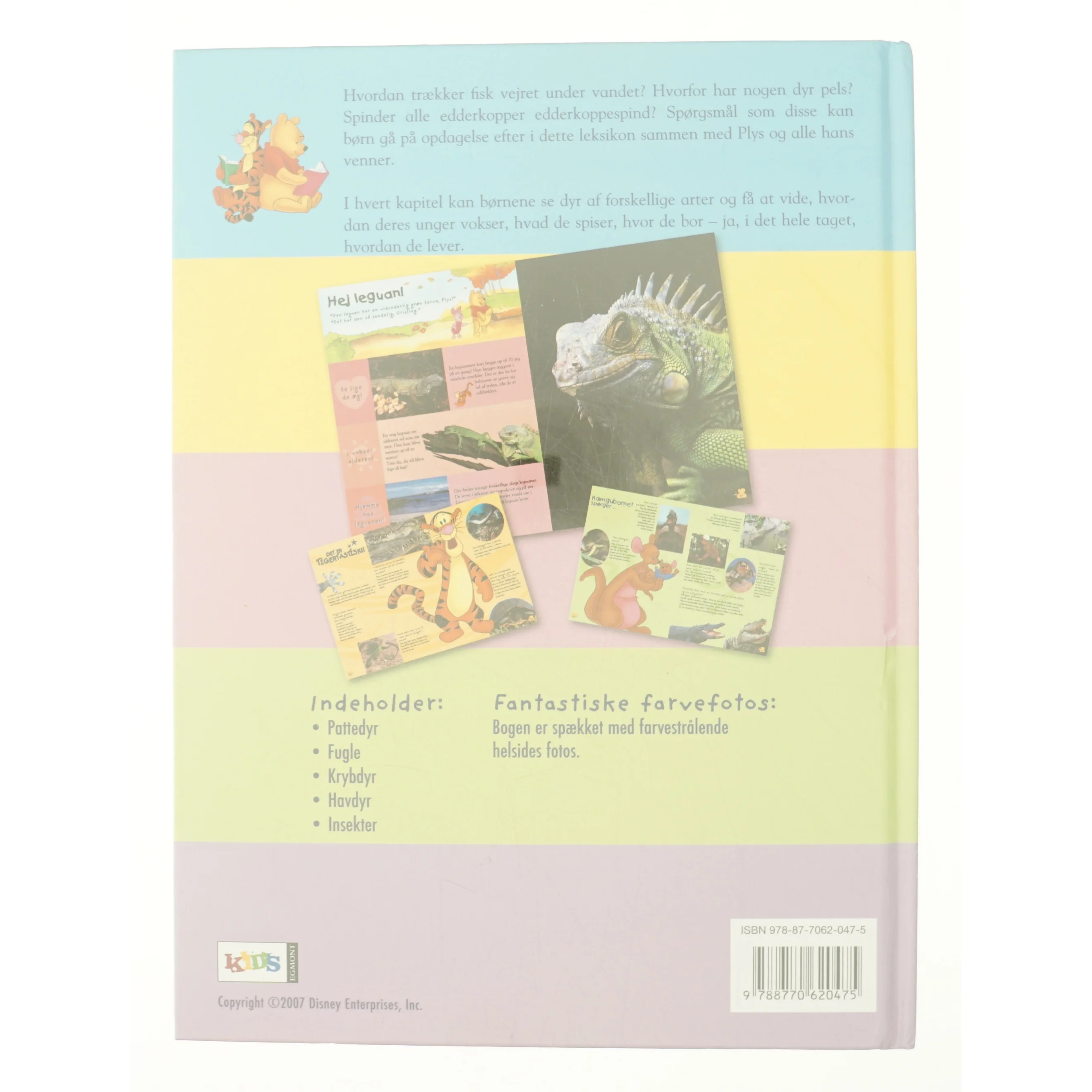 Mit allerførste leksikon med Peter Plys og vennerne - dyr (Bog)