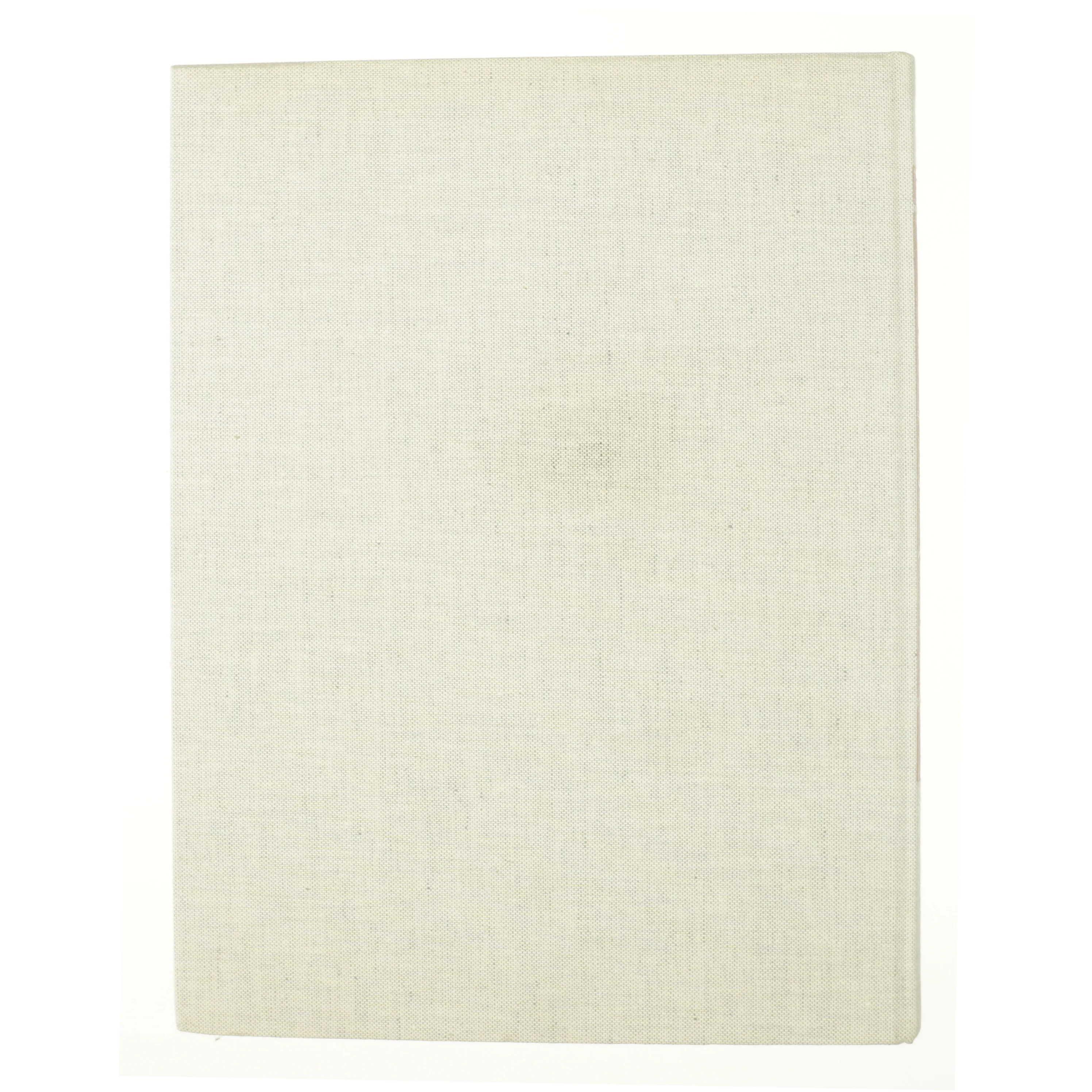 The picture history of painting (bog)