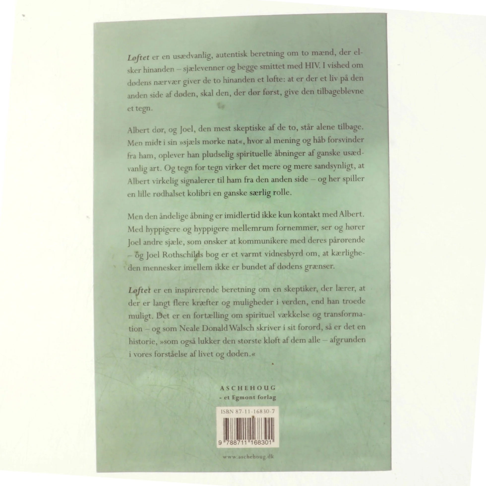 Løftet : en autentisk beretning om tegn på liv efter livet af Joel Rothschild (Bog)