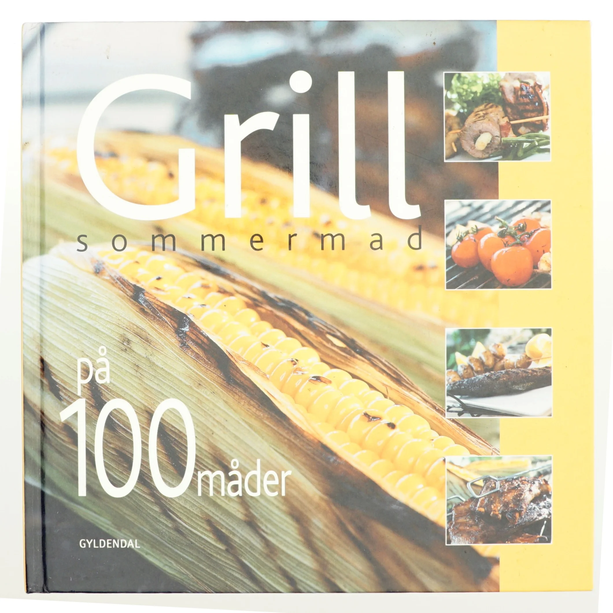 Grill : sommermad på 100 måder af Vibeke Bindslev (Bog)