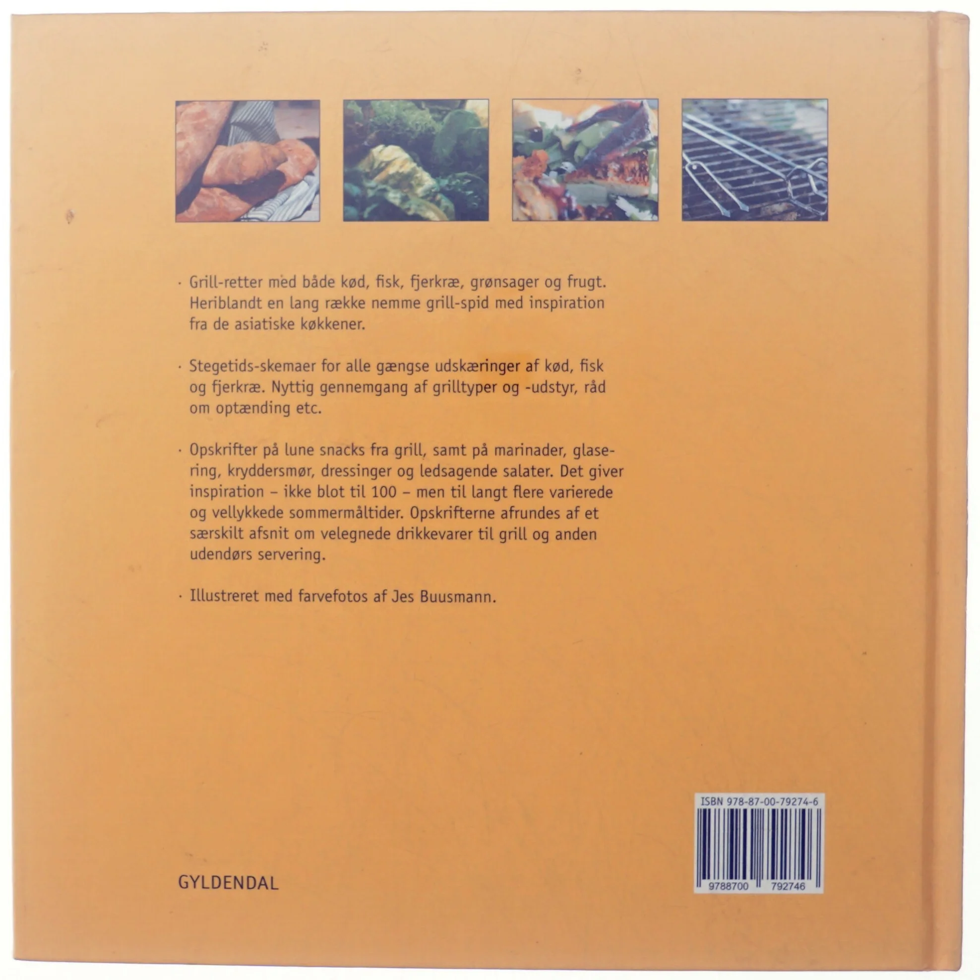 Grill : sommermad på 100 måder af Vibeke Bindslev (Bog)