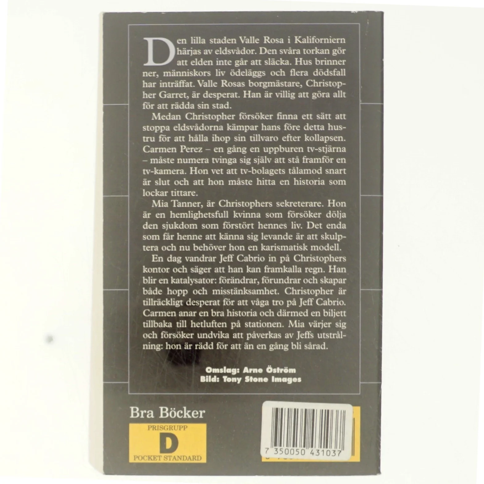 Eld och Regn af Diane Chamberlain