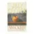 Wicked! : a Tale of Two Schools af Jilly Cooper (Bog)
