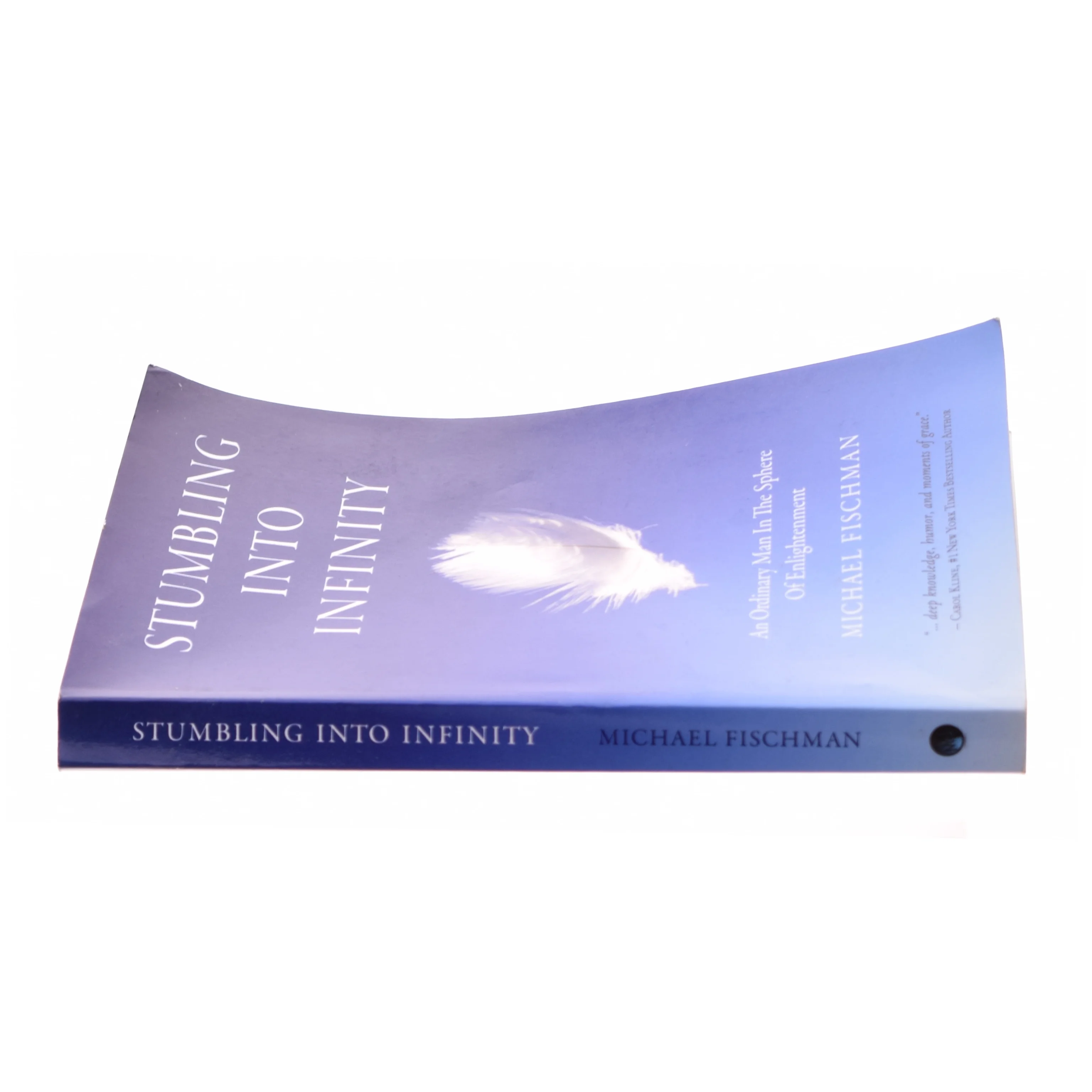 Stumbling Into Infinity af Fischman, Michael (Bog)