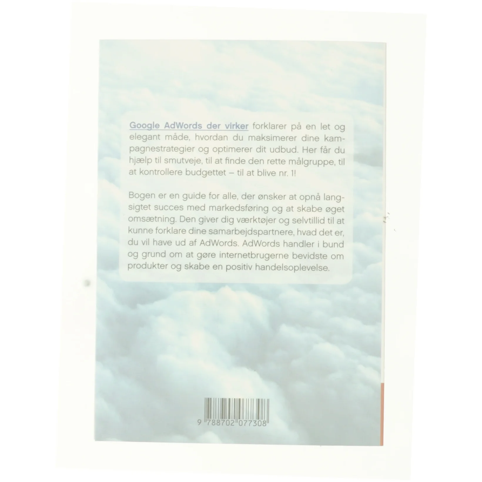 Google - AdWords der virker af Jon Smith (Bog)