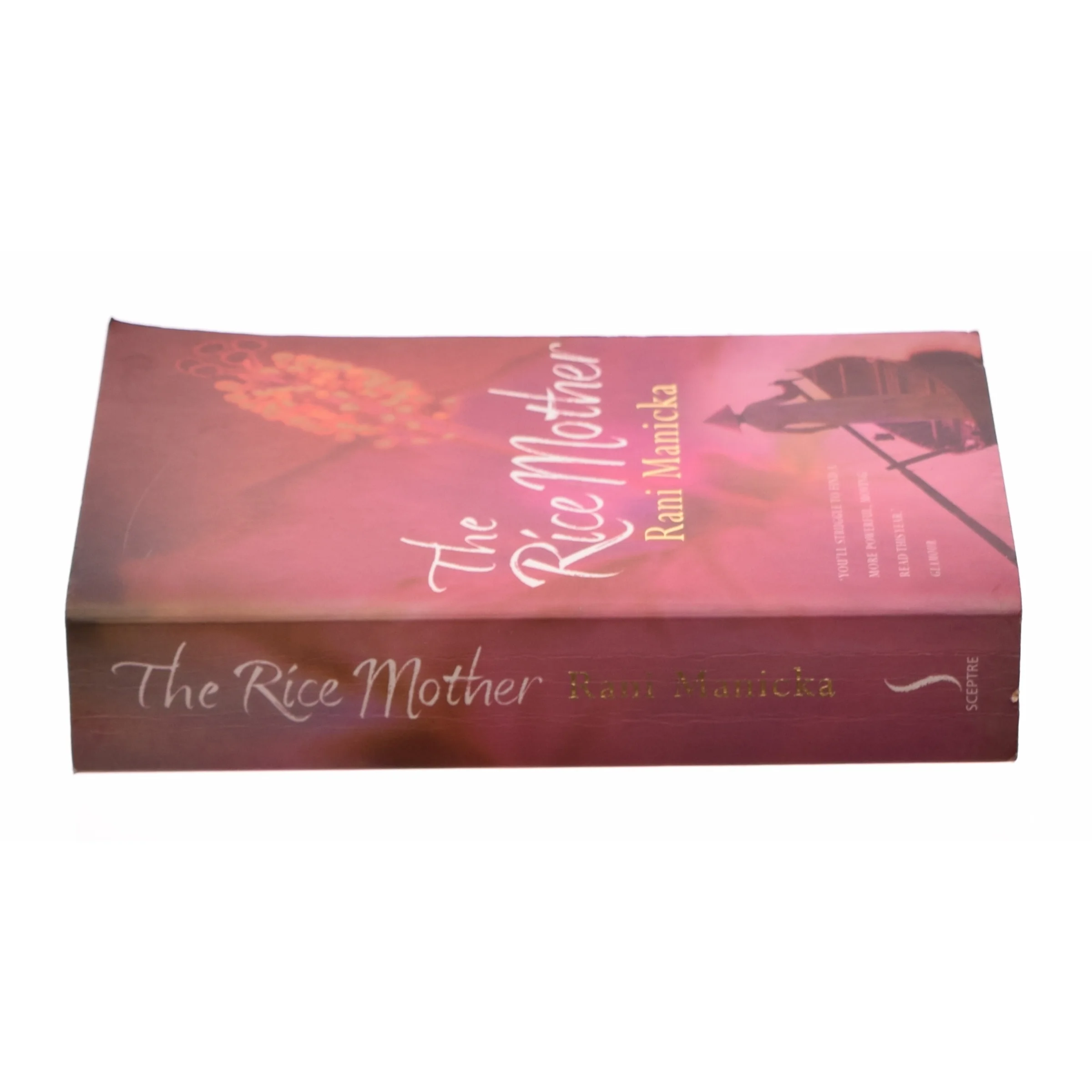 The Rice Mother af Manicka, Rani (Bog)