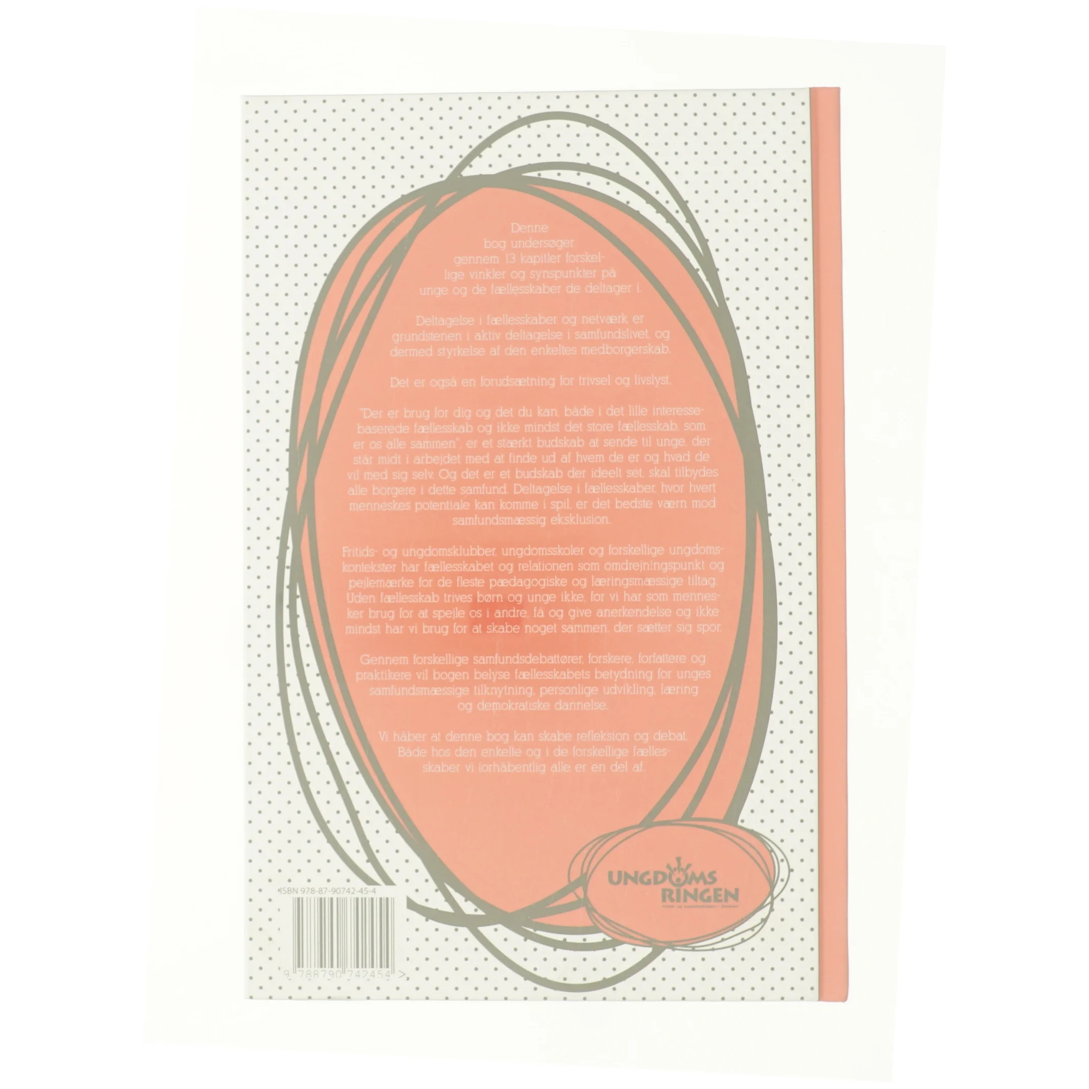 Skillelinjer og bindestreger (Bog)