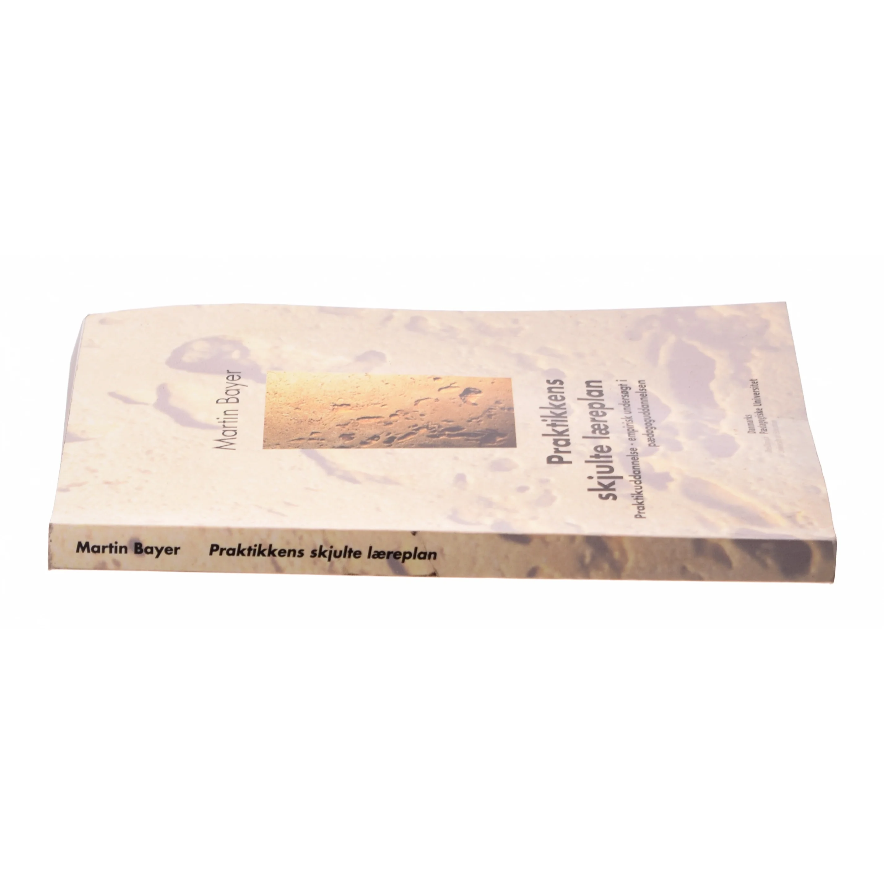Praktikkens skjulte læreplan af Martin Bayer 