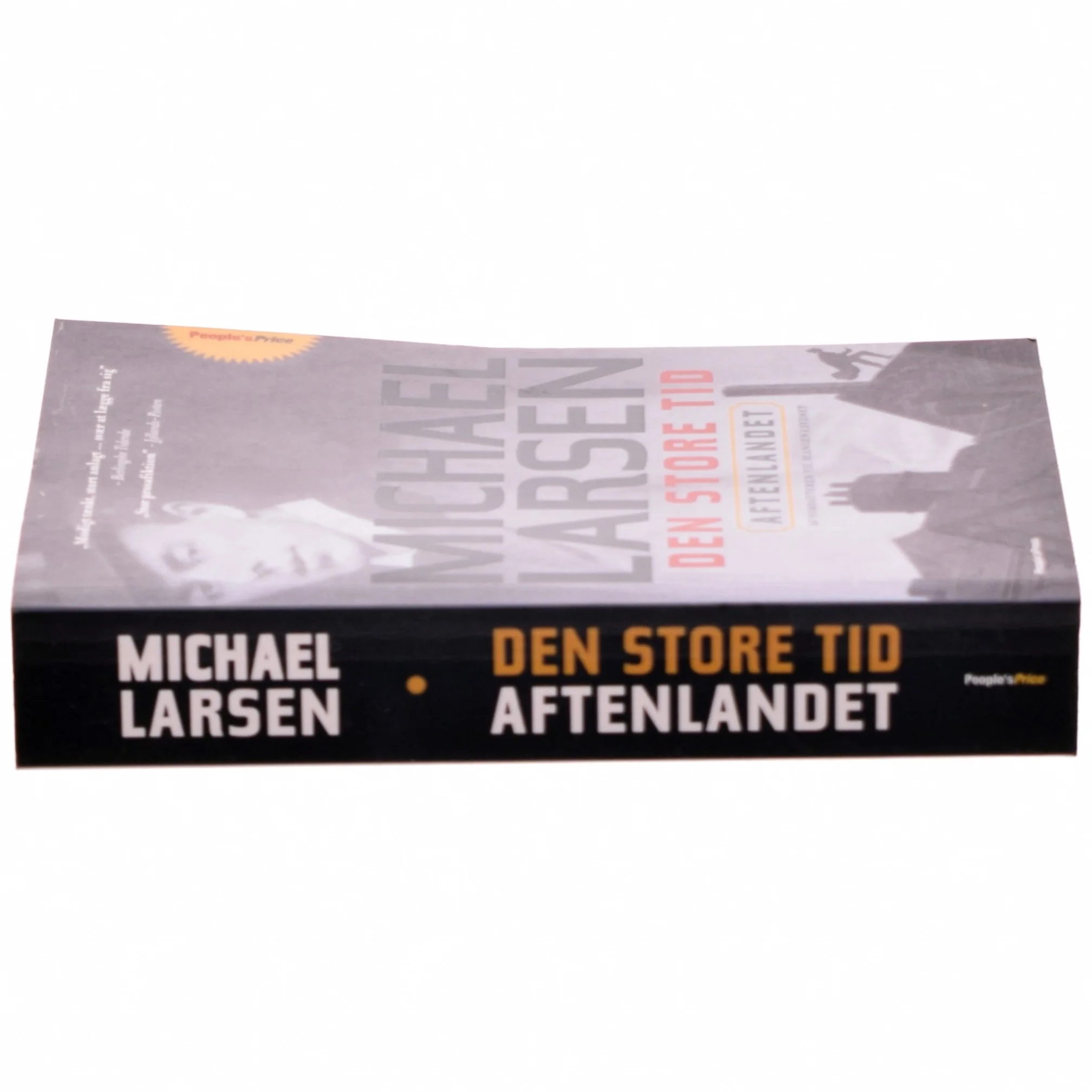 Den store tid : roman : Aftenlandet af Michael Larsen (f. 1961) (Bog)