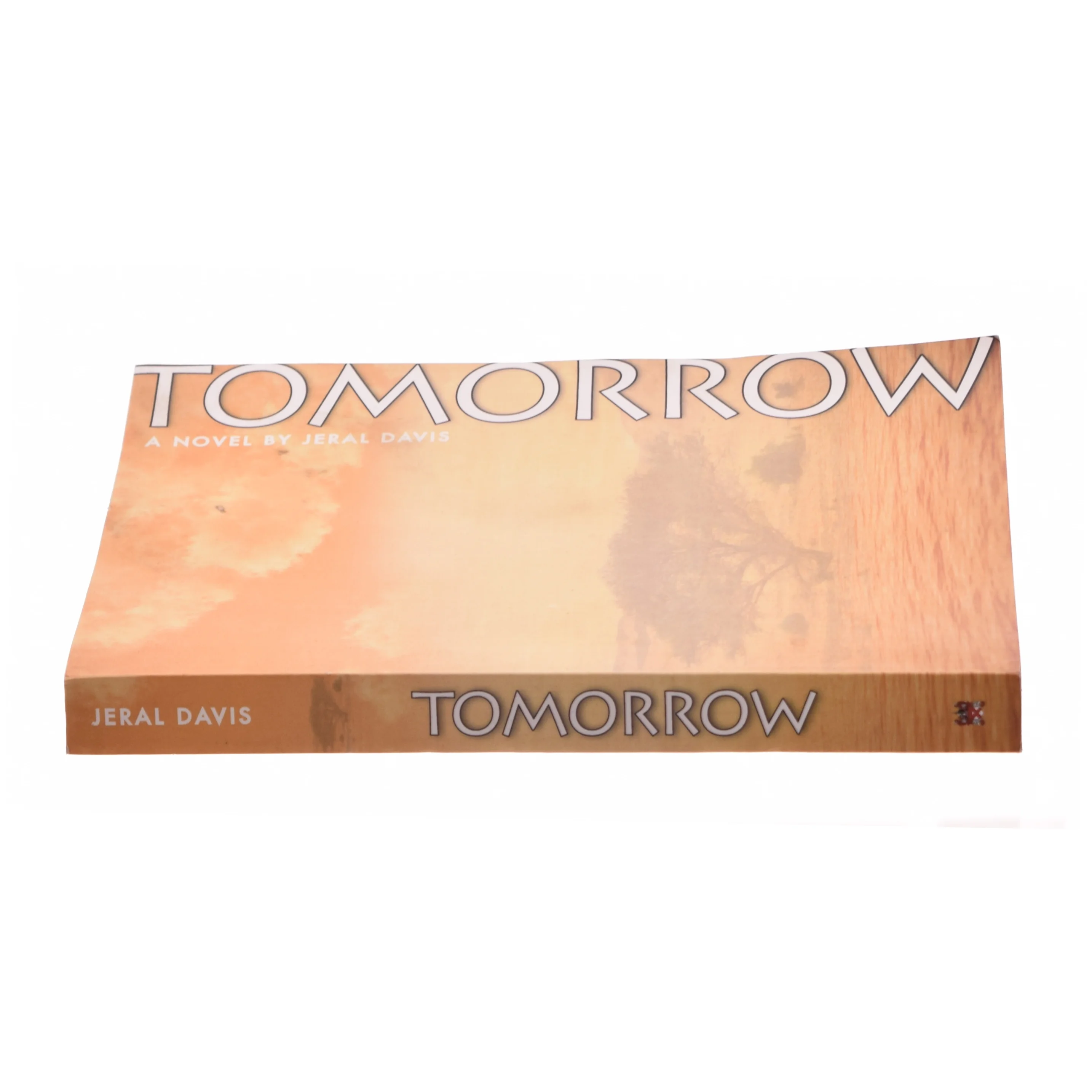 Tomorrow af Jeral Davis (Bog)