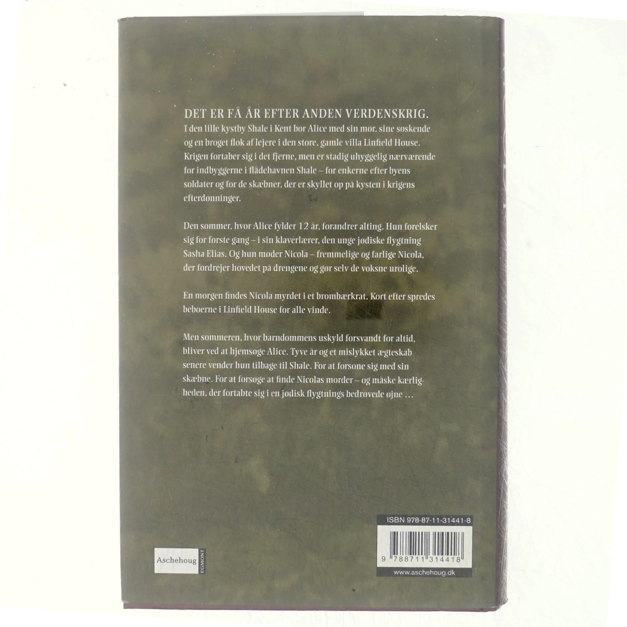 Skæbnesommer af Susan Moody (Bog)