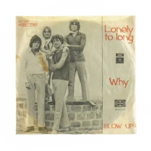 Lonely to long vinylplade