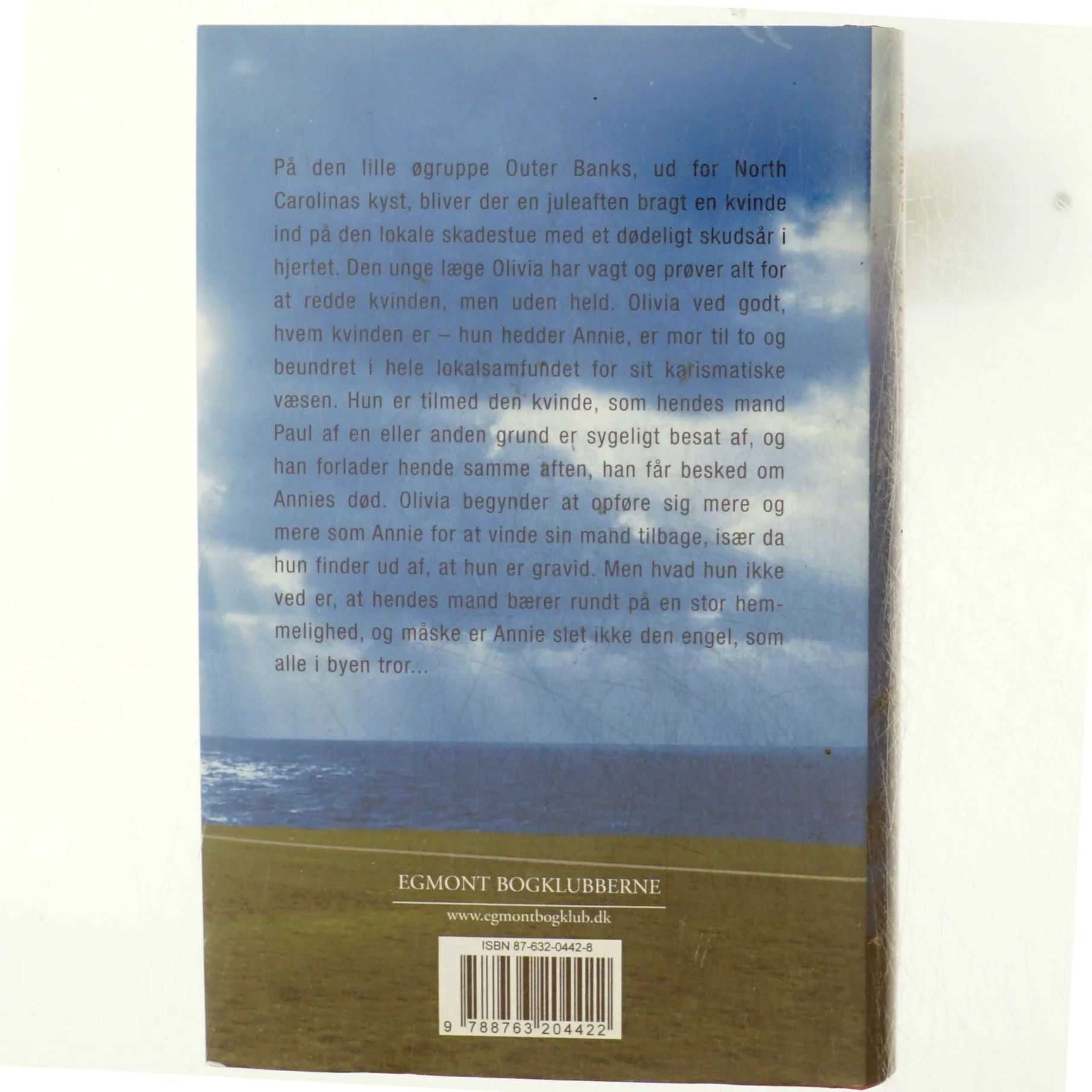 Sandhedens smerte af Diane Chamberlain (Bog)