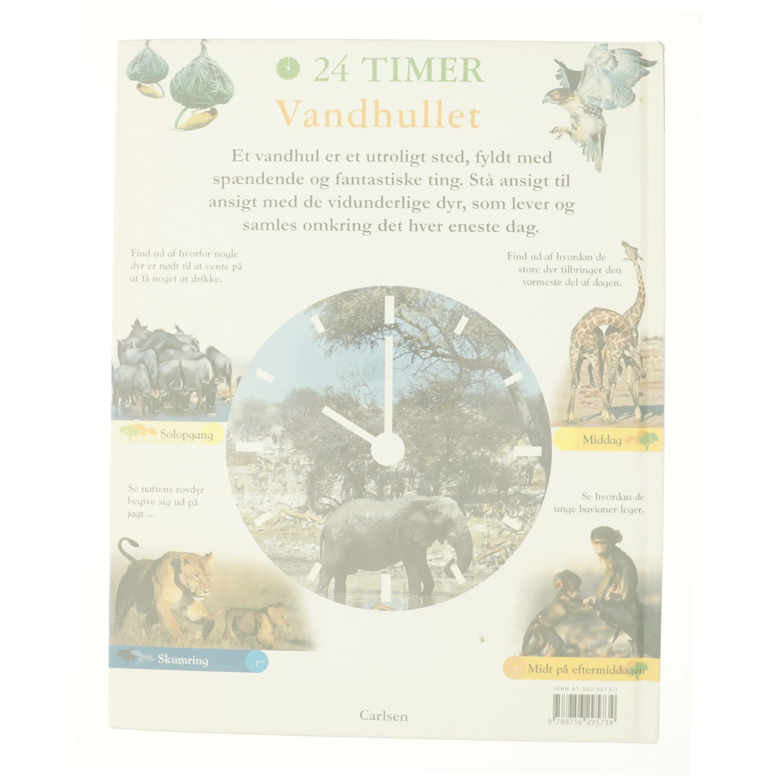 Vandhullet af Zahavit Shalev (Bog)