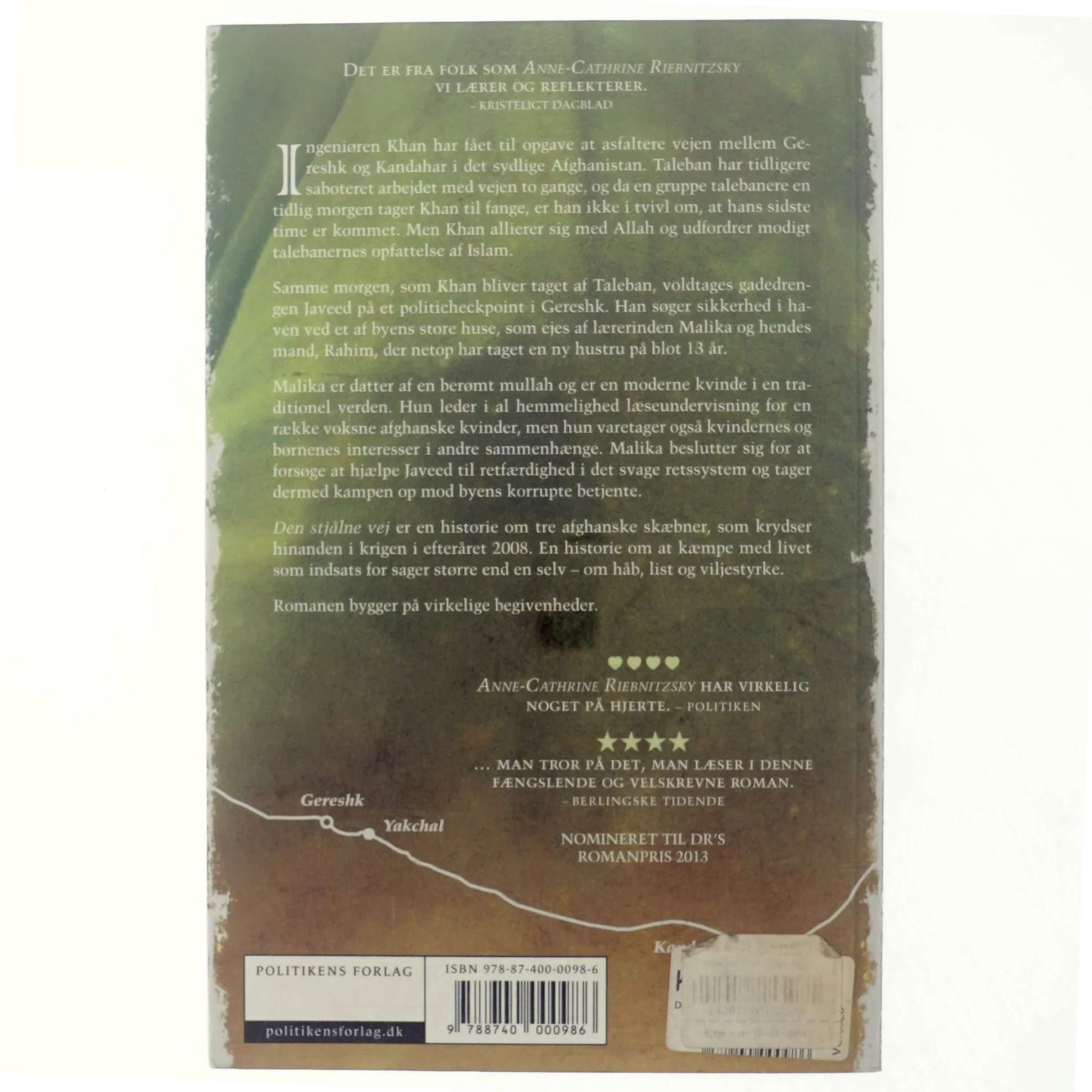 Den stjålne vej af Anne-Cathrine Riebnitzsky (Bog)