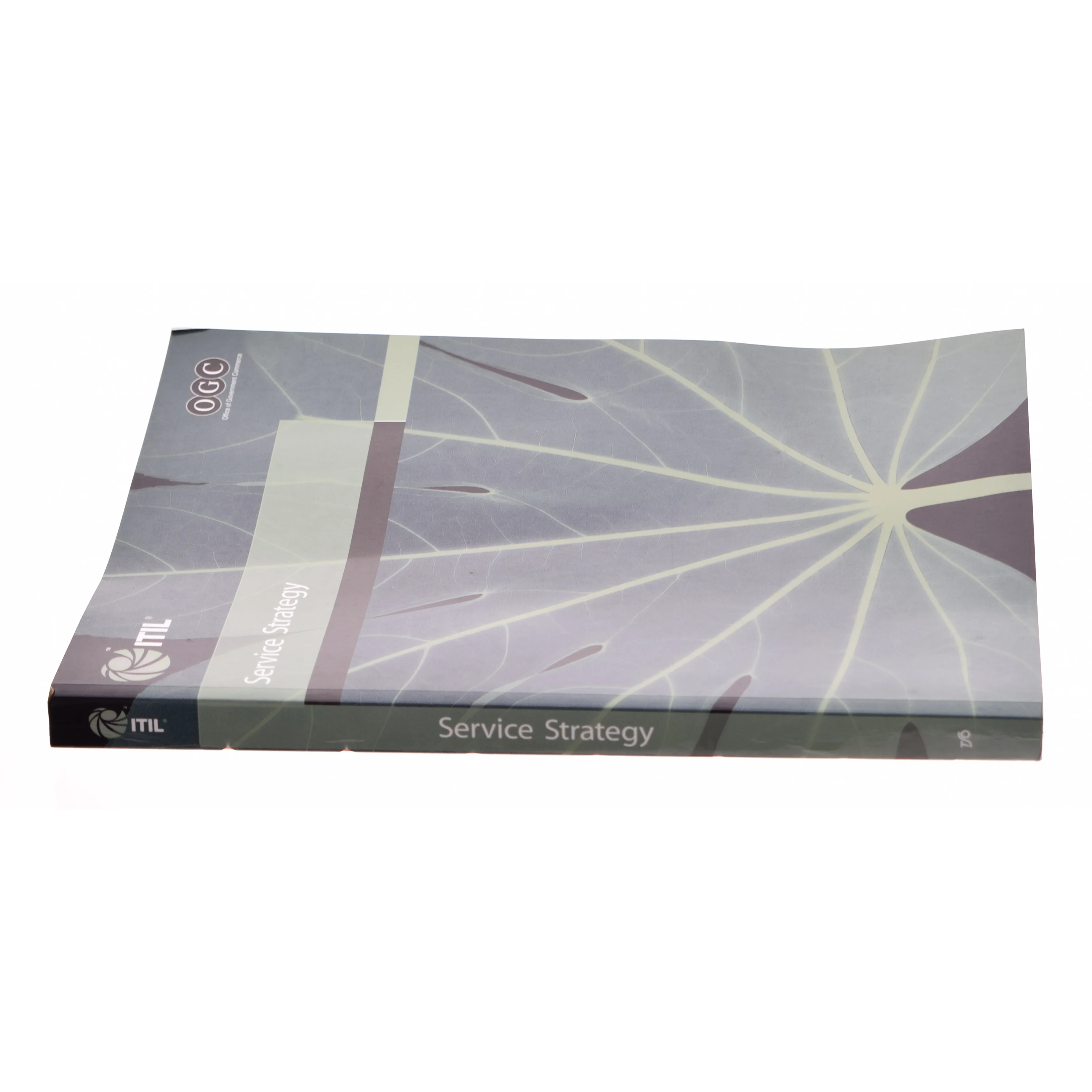 Service Strategy af Ogc (Bog)