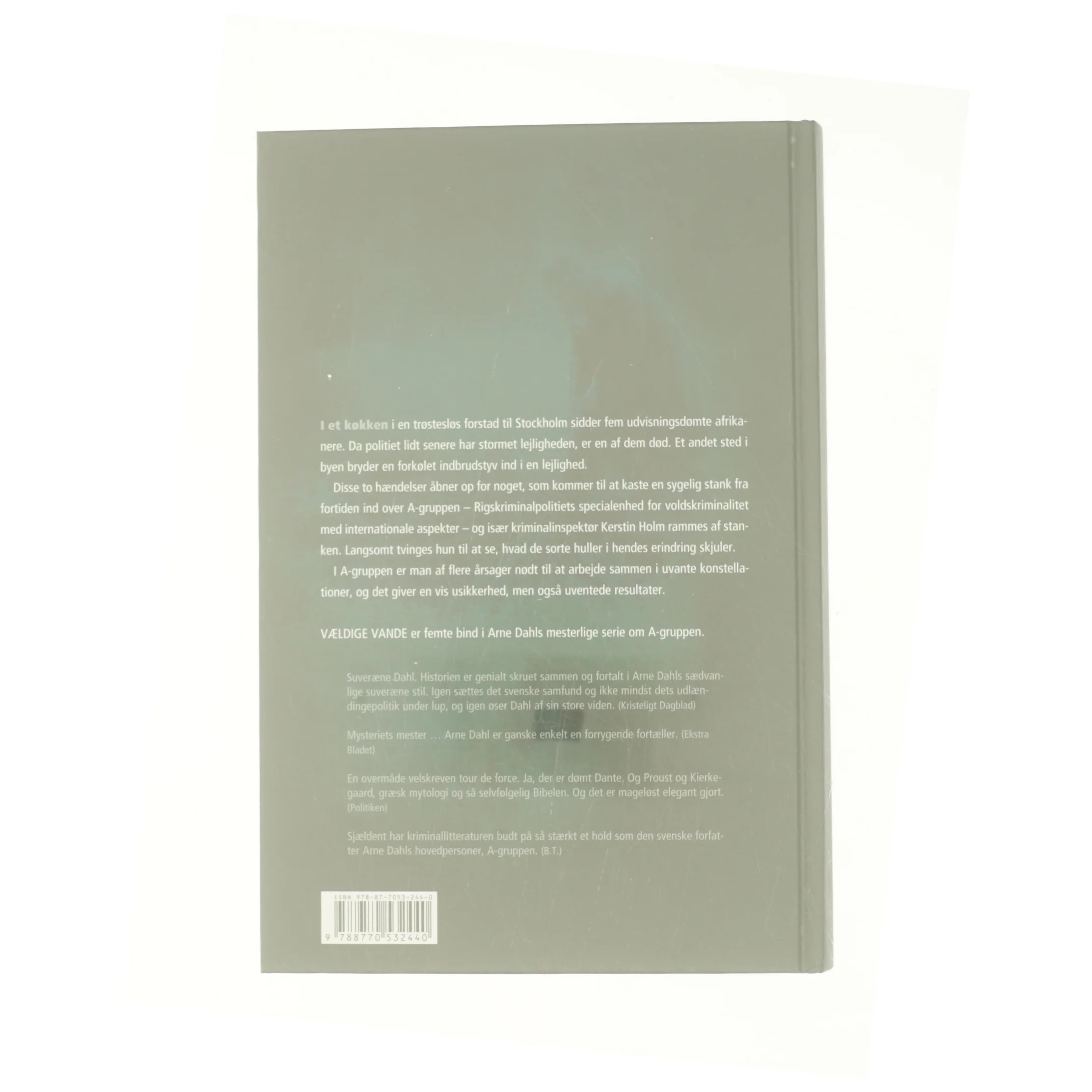 Vældige vande af Arne Dahl (f. 1963) (Bog)